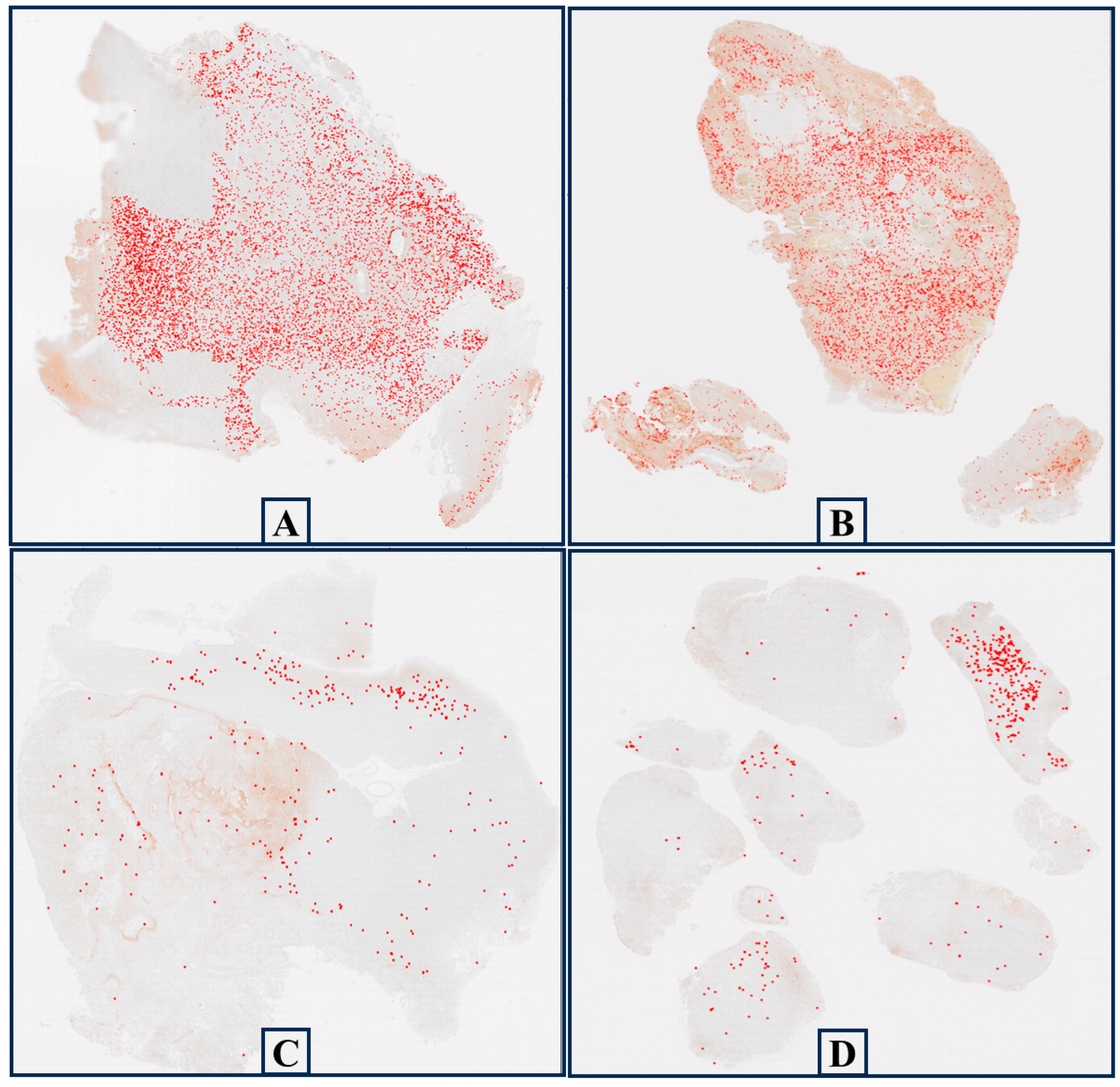 Cancers 16 00750 g0a1