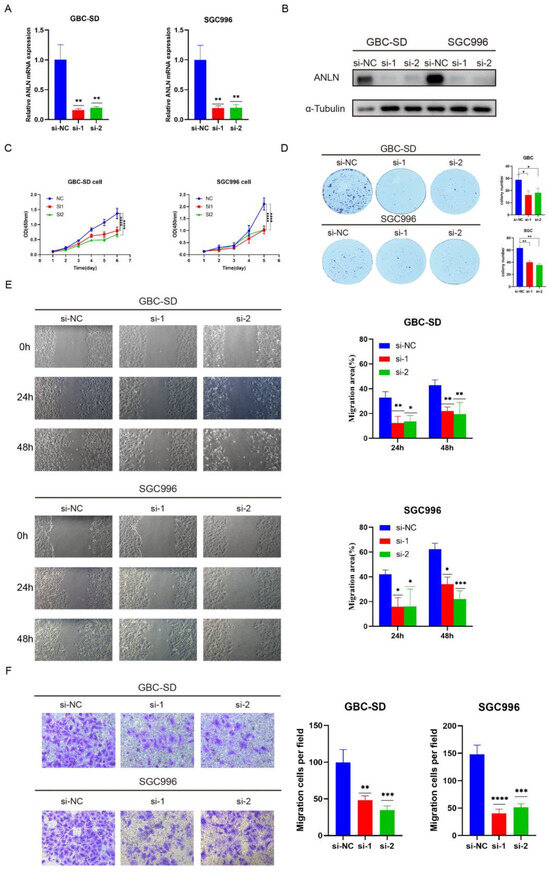 Cancers 16 00752 g002