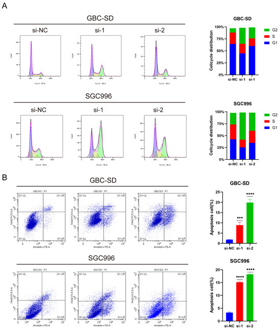 Cancers 16 00752 g003