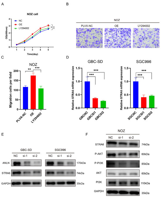 Cancers 16 00752 g006