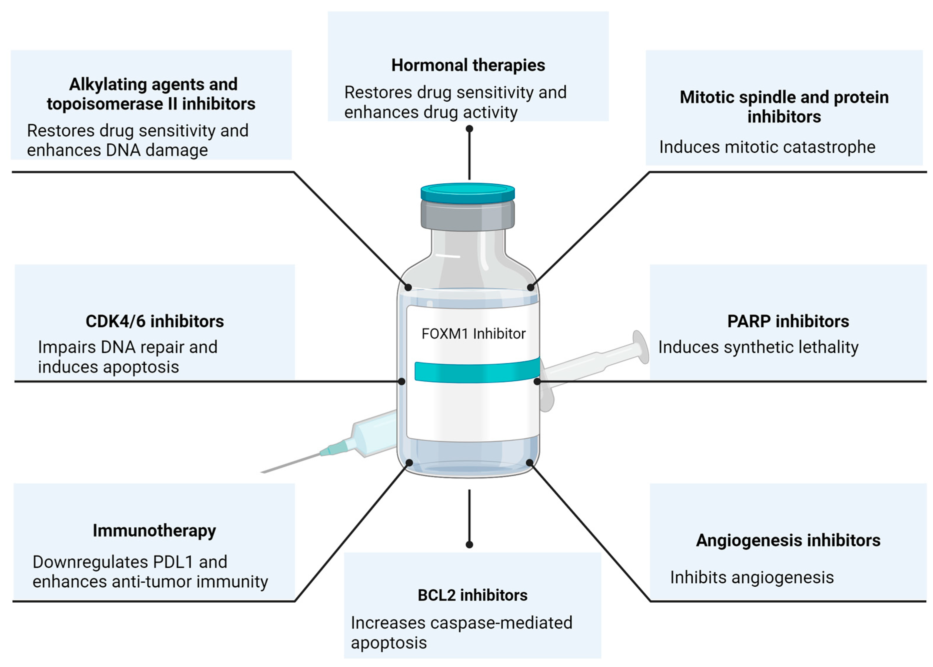 Cancers 16 00756 g002 Cancers 16 00756 g002