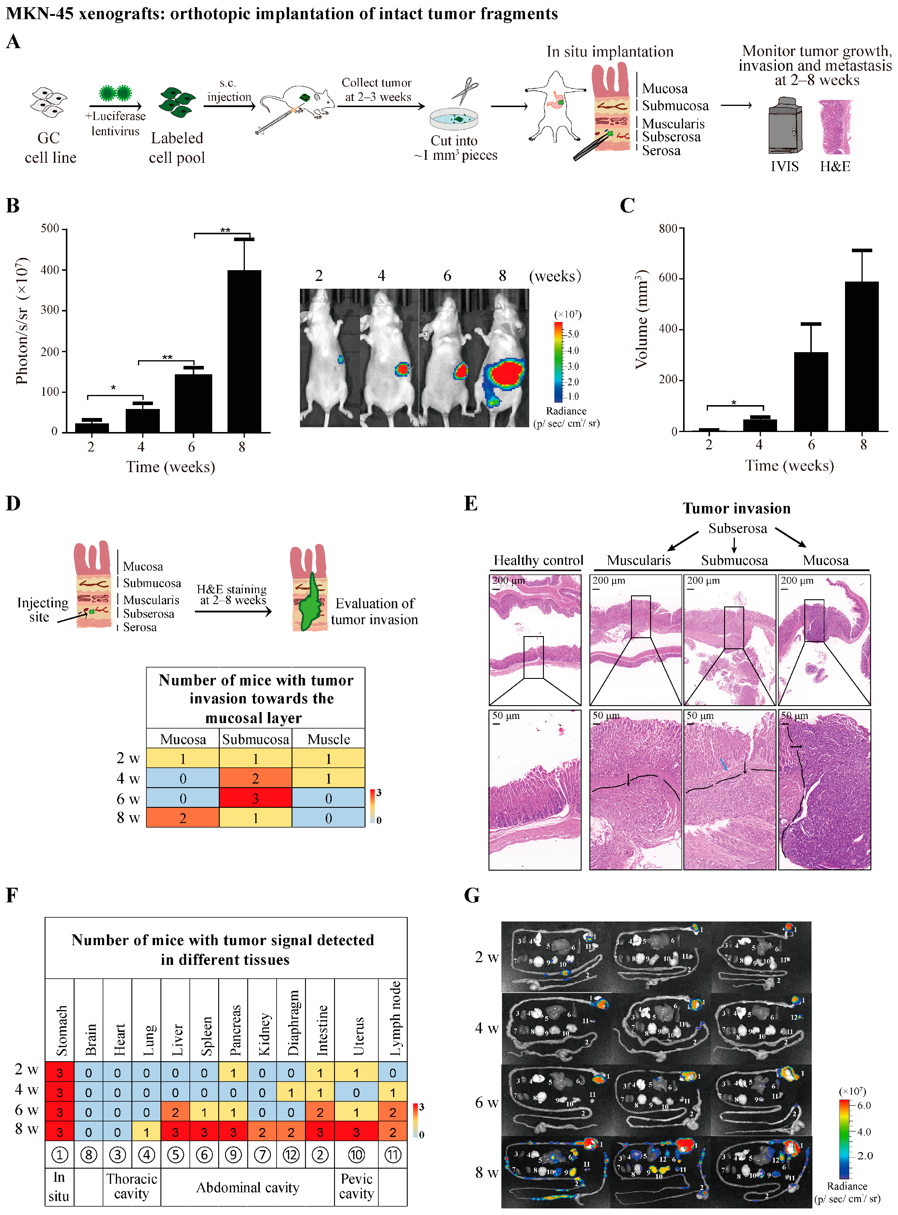 Cancers 16 00759 g001