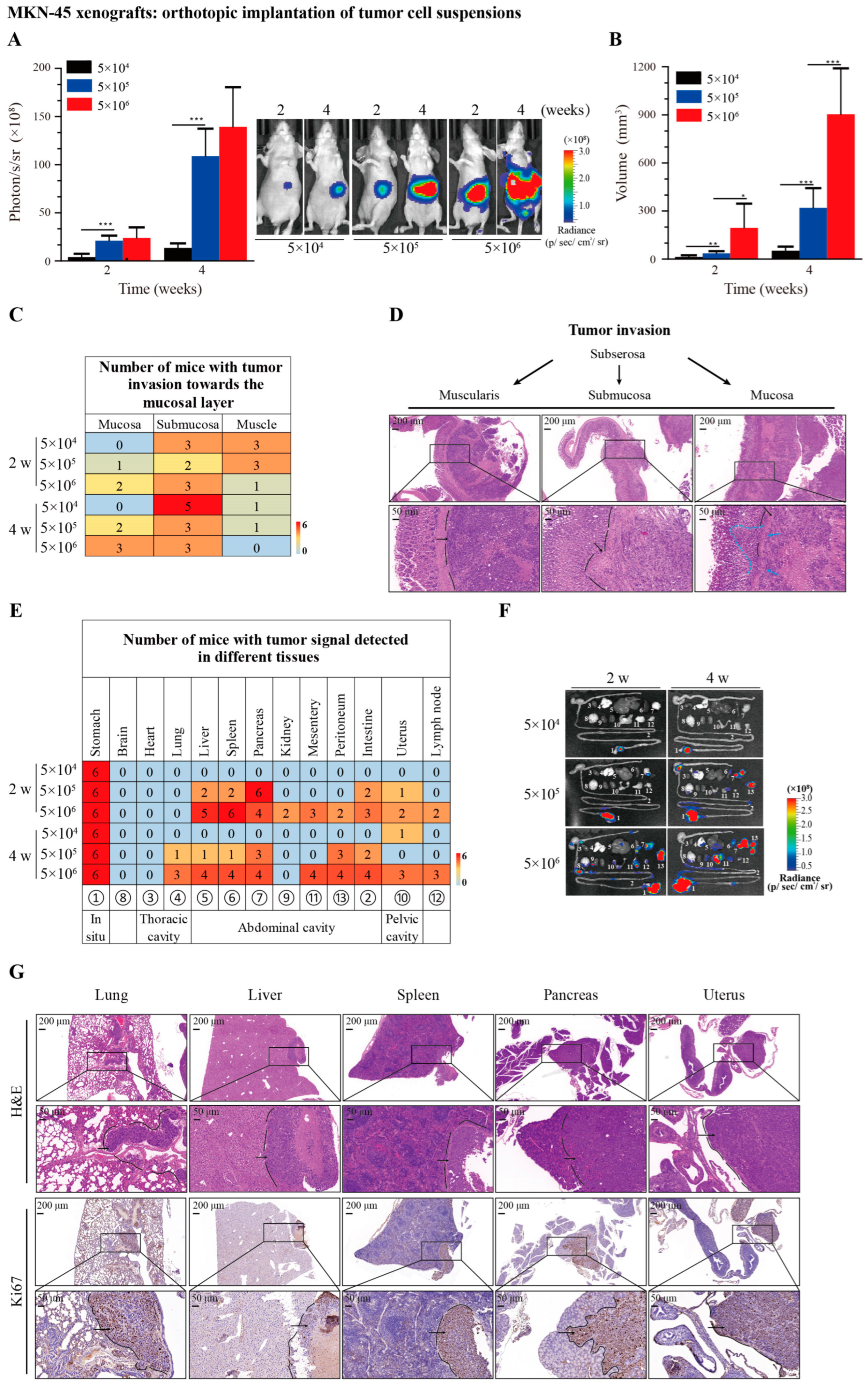 Cancers 16 00759 g003