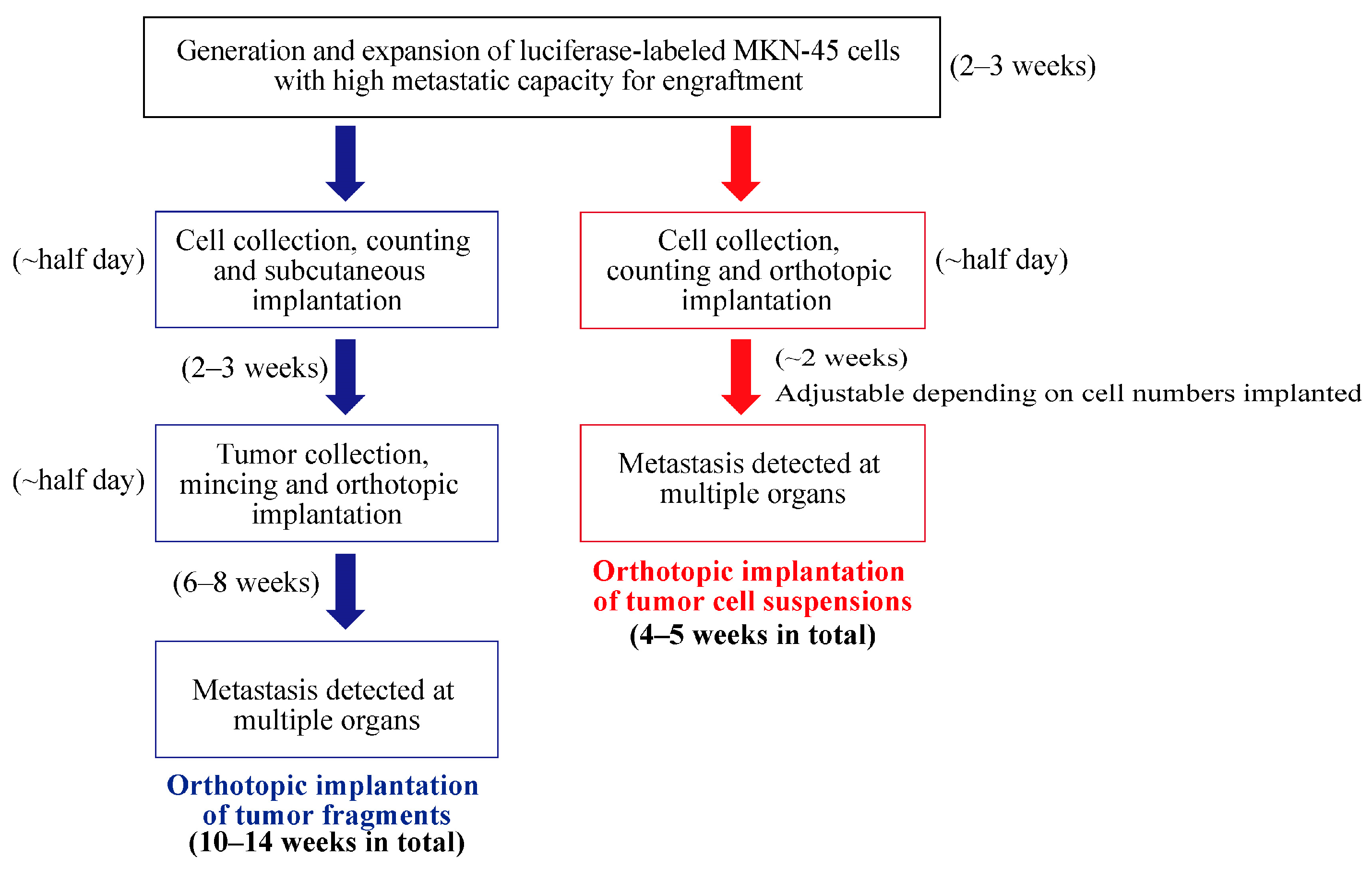 Cancers 16 00759 g004