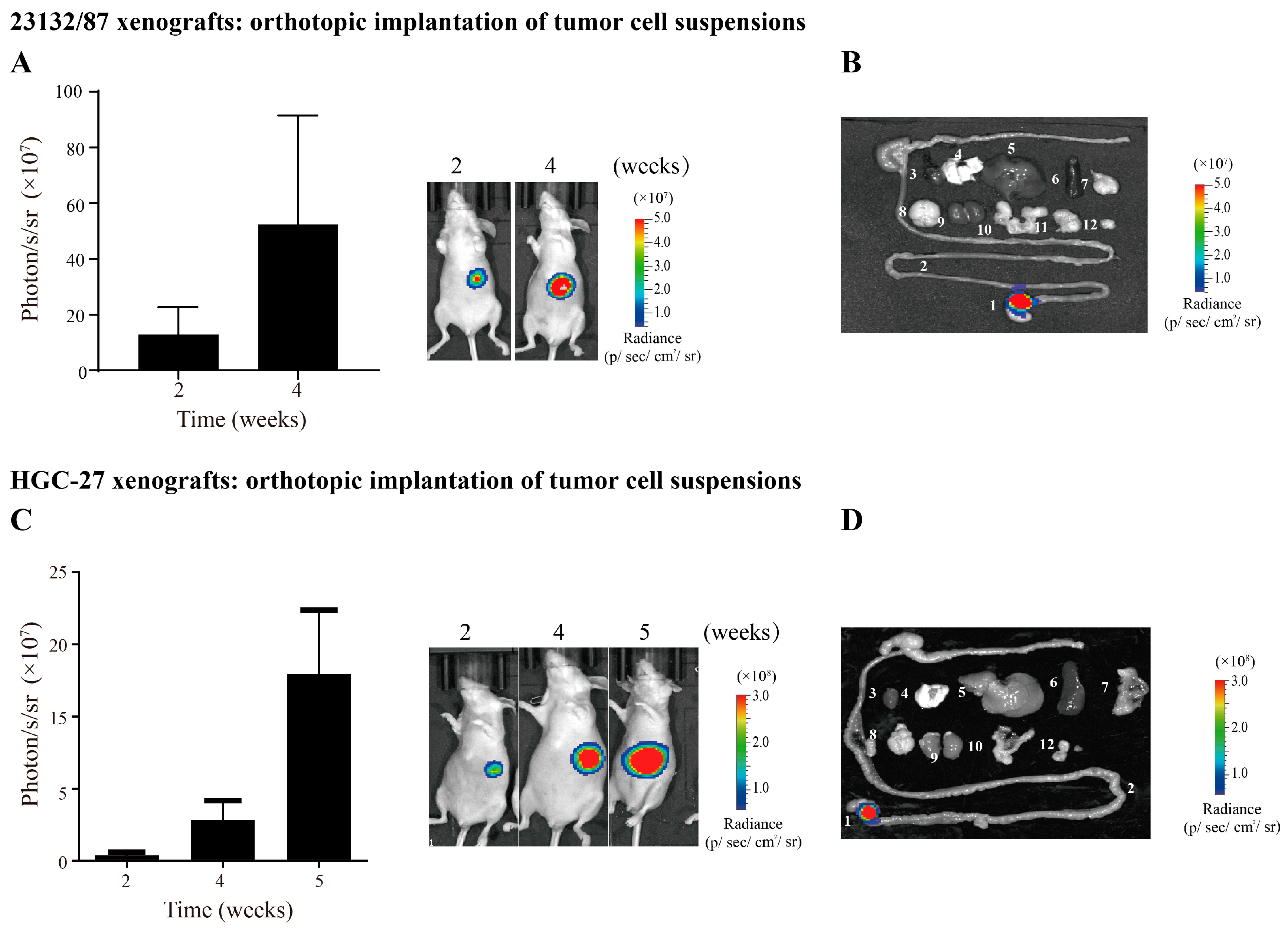 Cancers 16 00759 g005