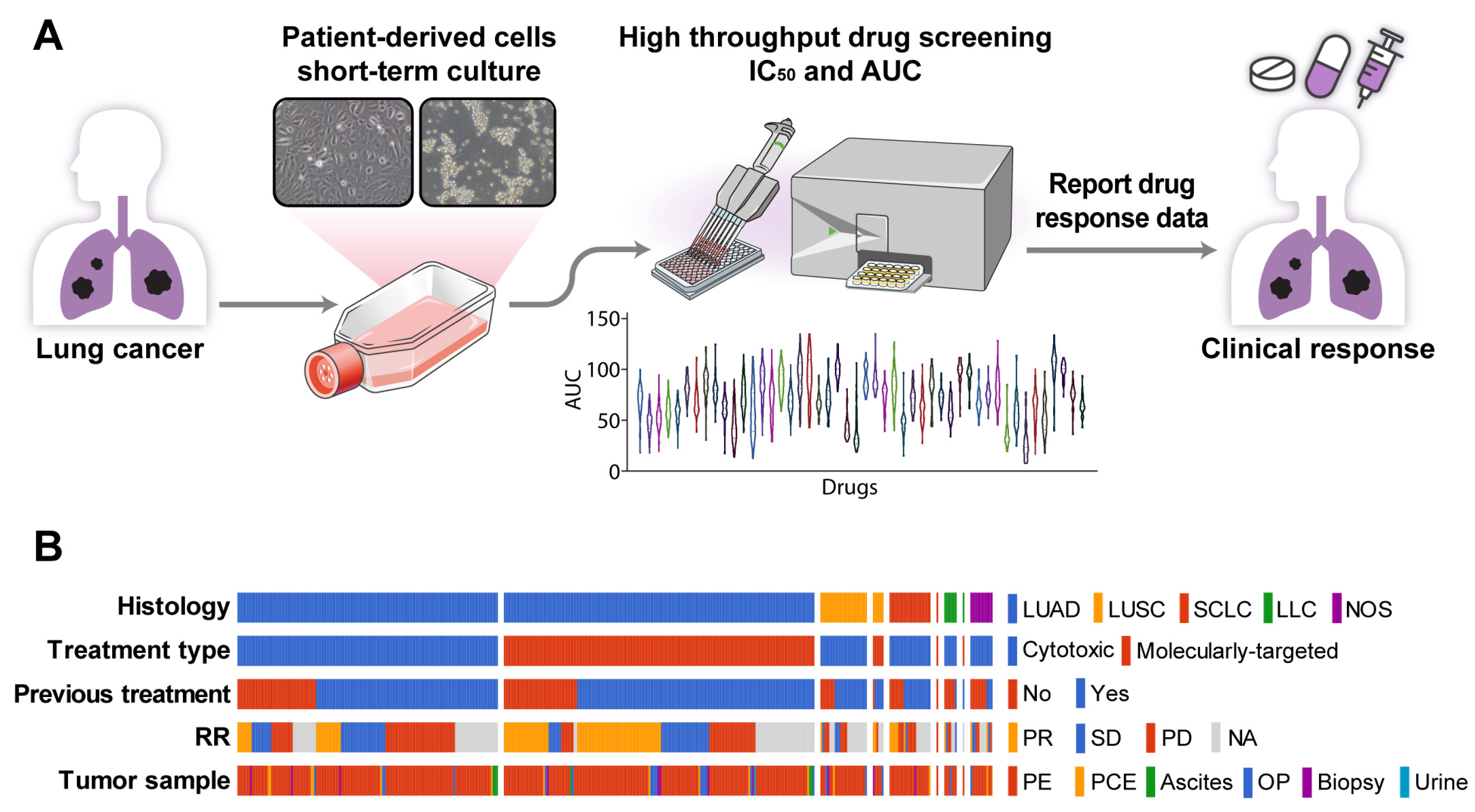 Cancers 16 00778 g001