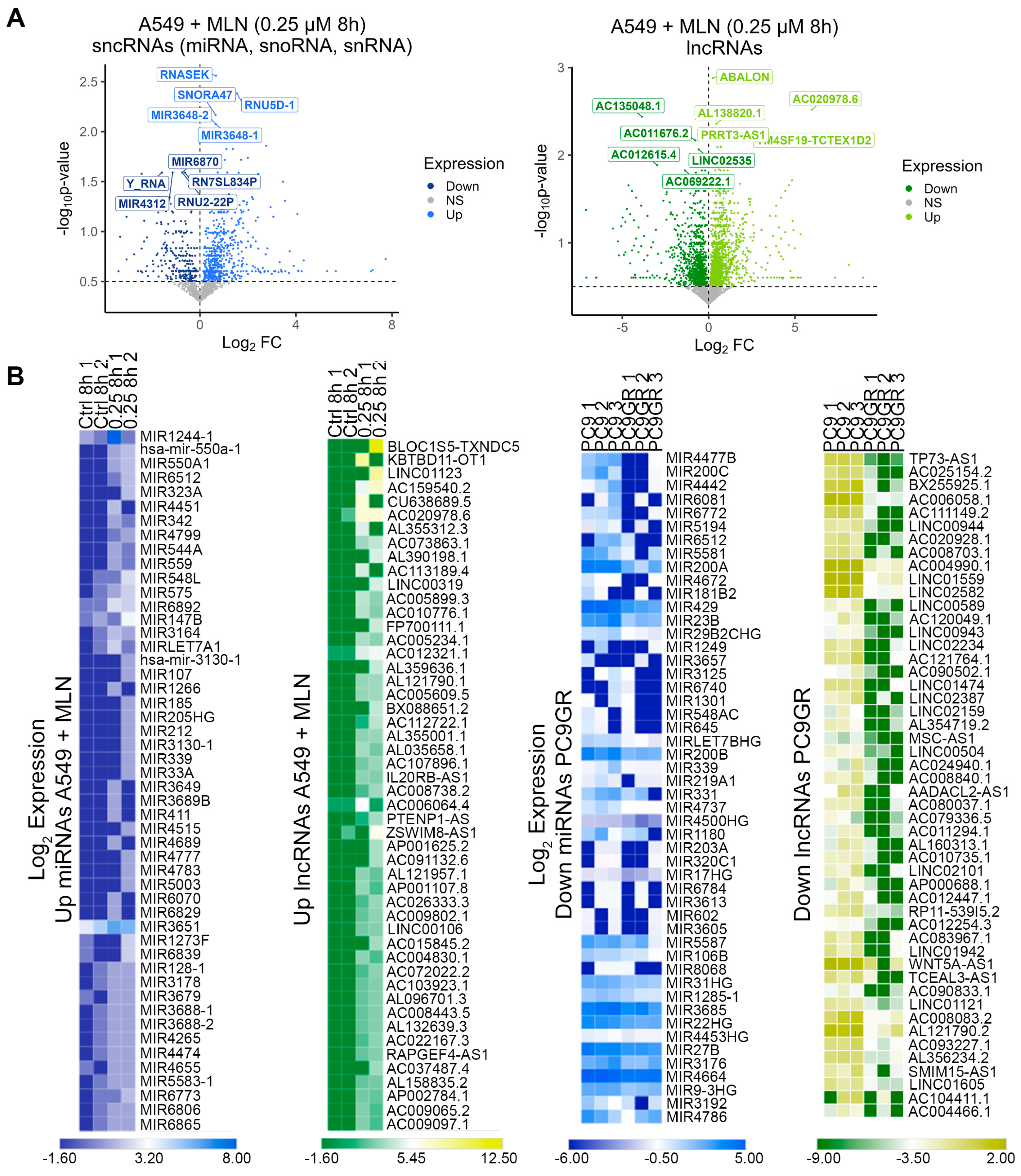 Cancers 16 00825 g002