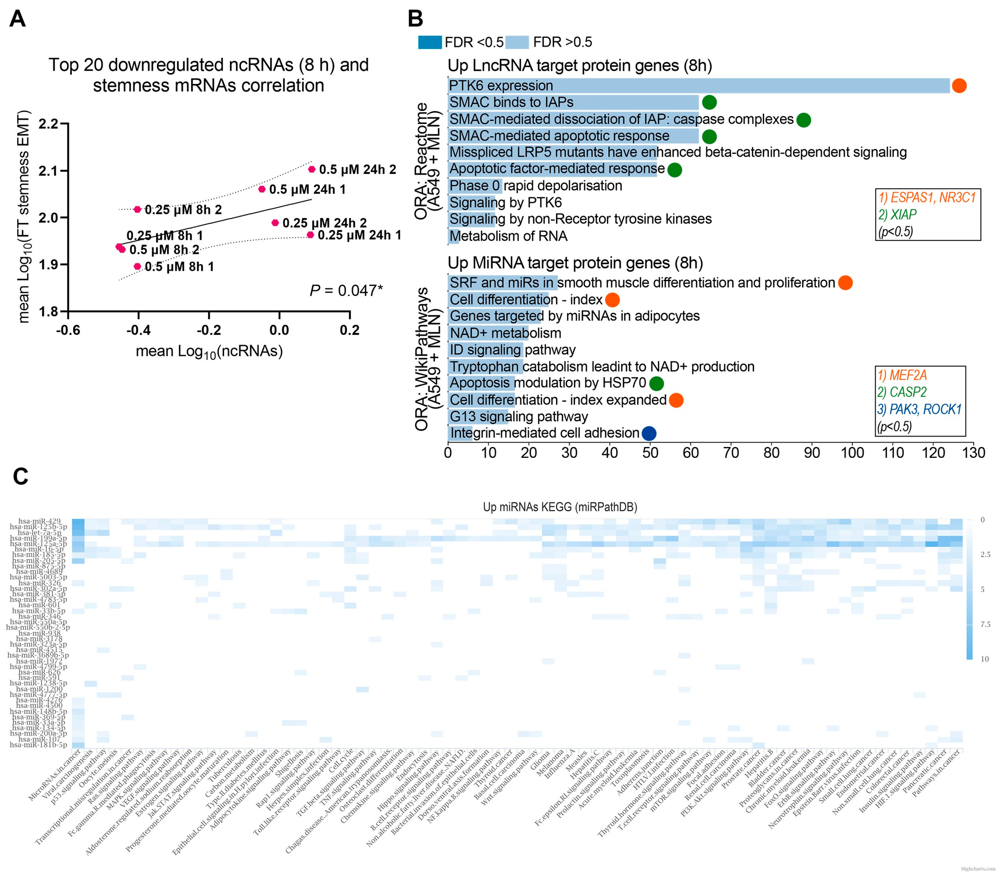 Cancers 16 00825 g003