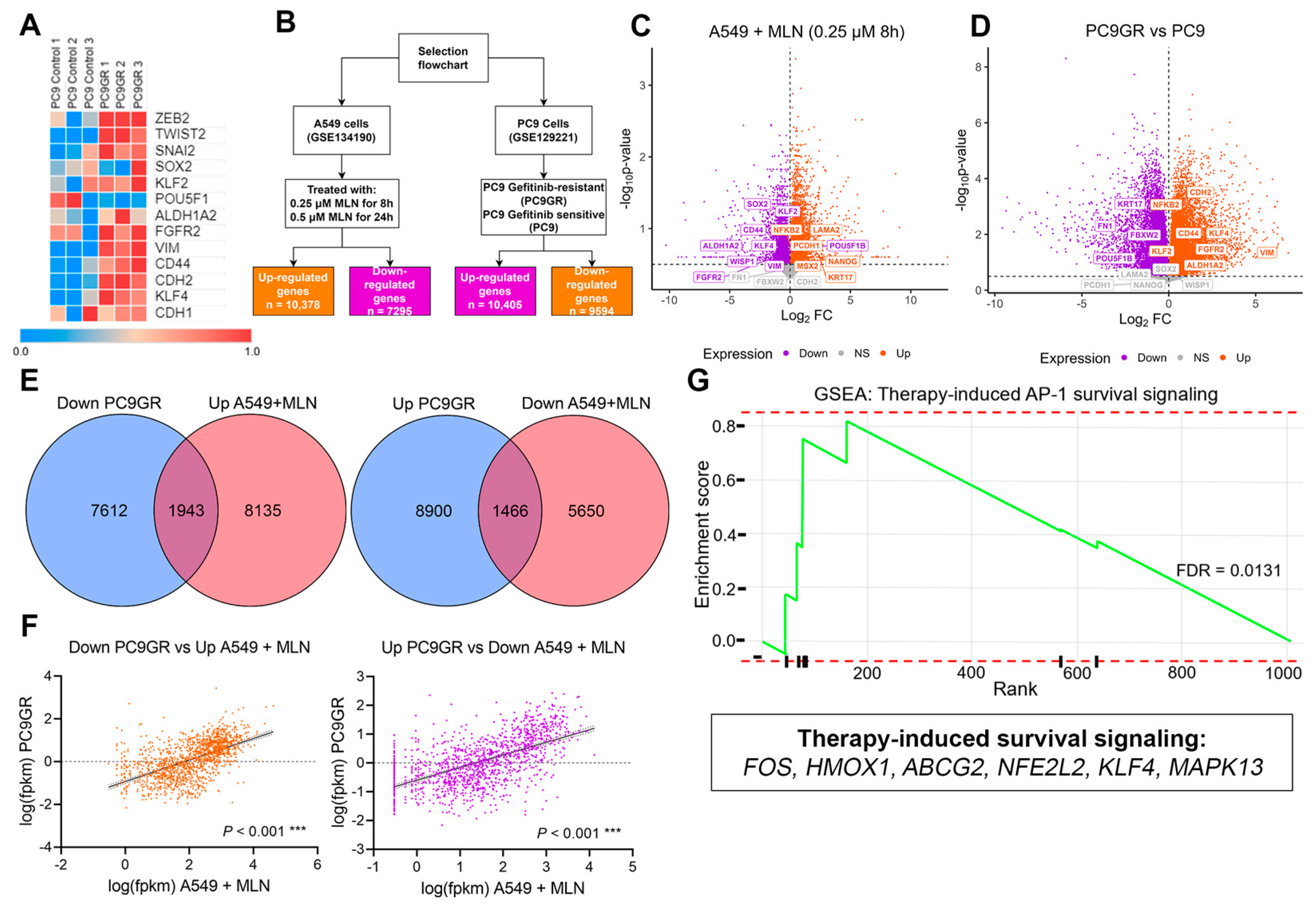 Cancers 16 00825 g004