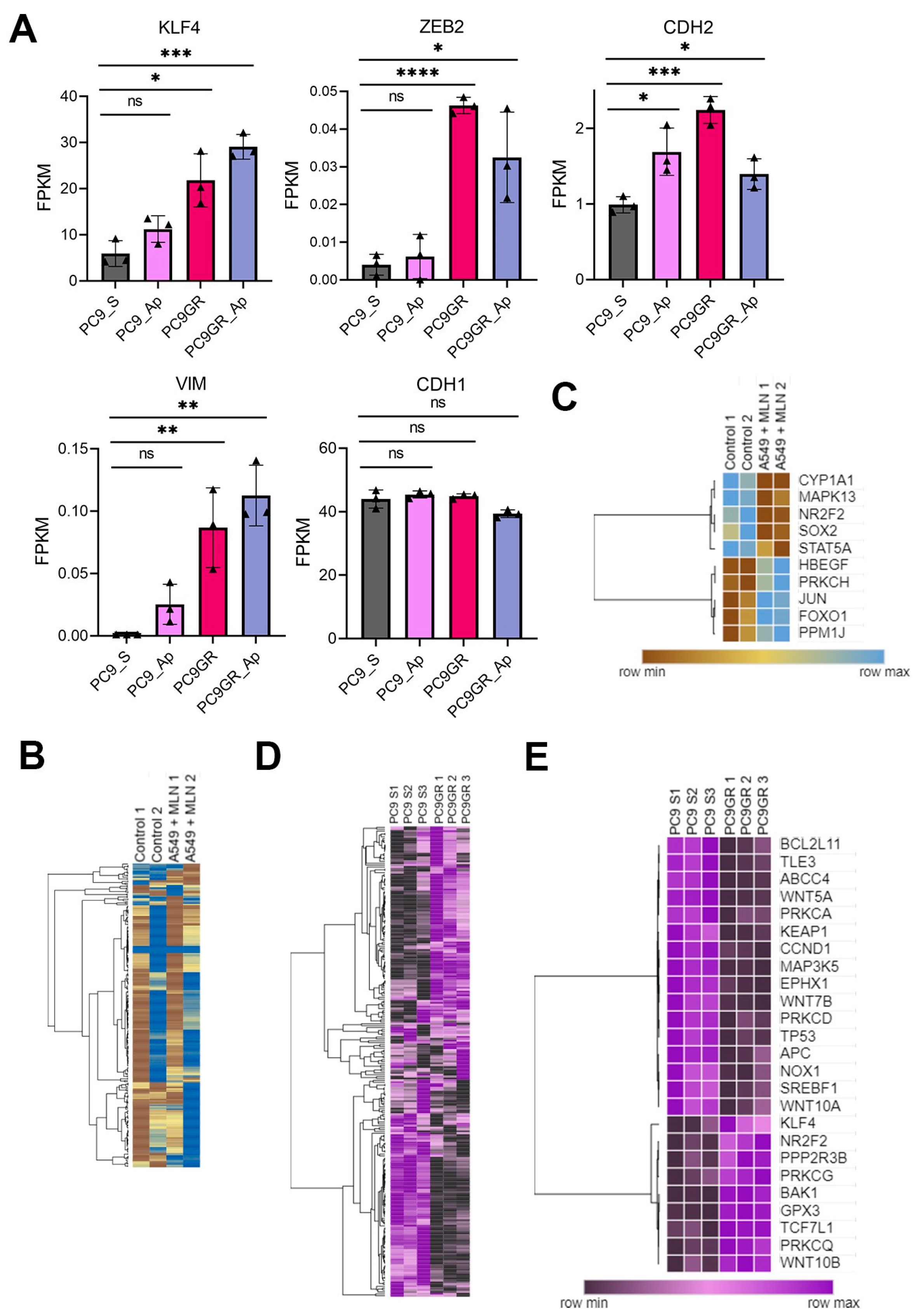 Cancers 16 00825 g005
