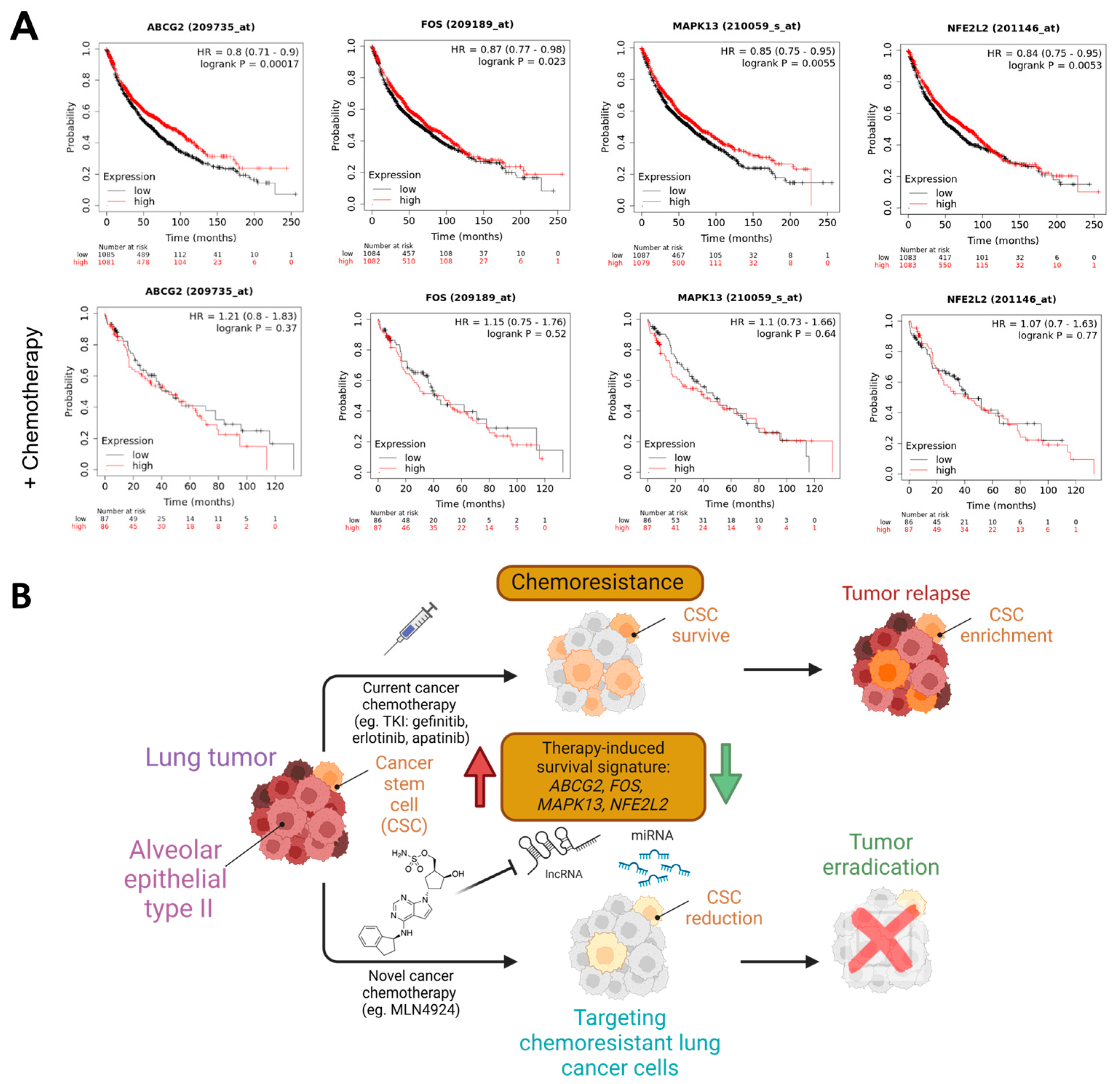 Cancers 16 00825 g007