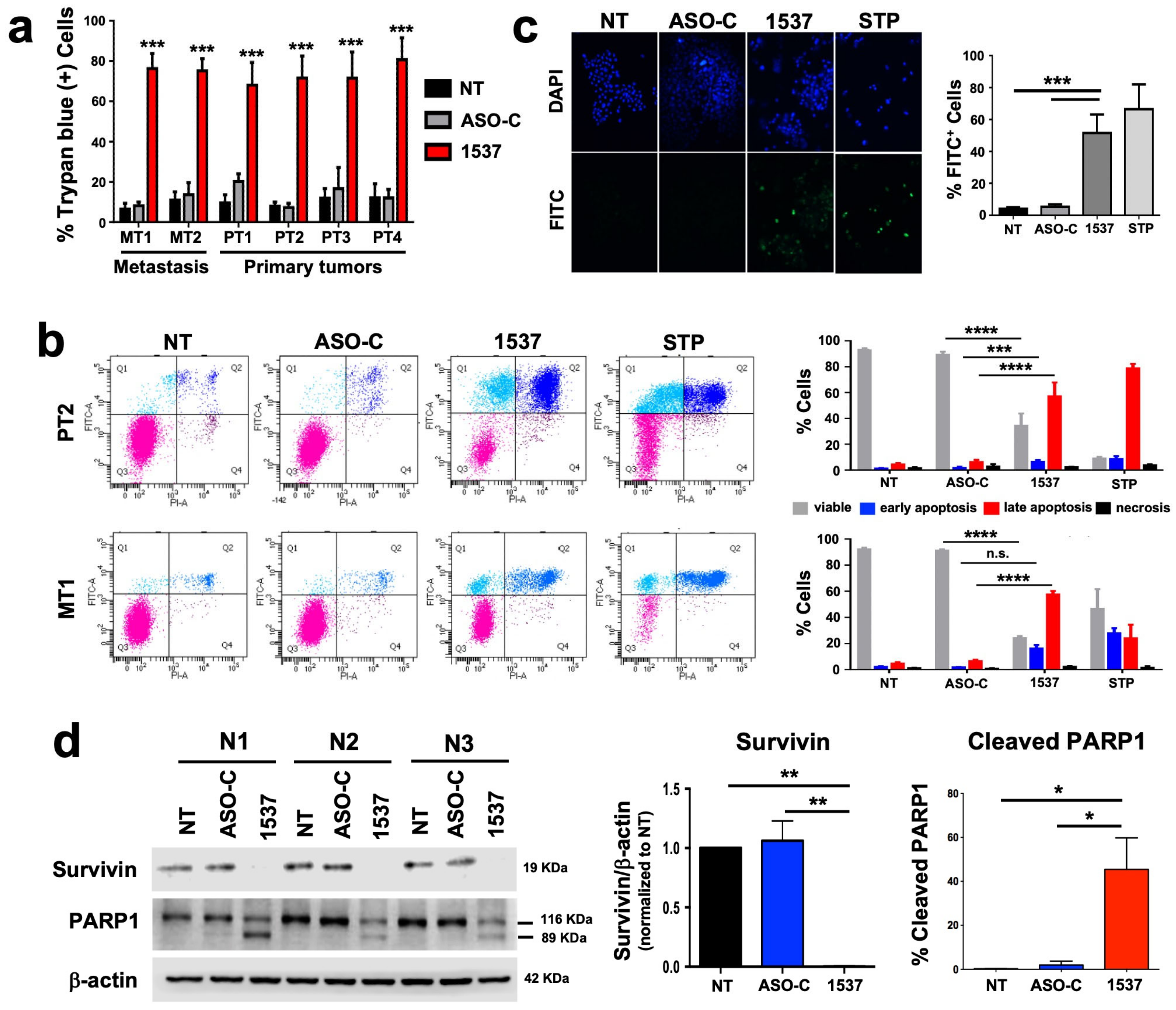 Cancers 16 00830 g002