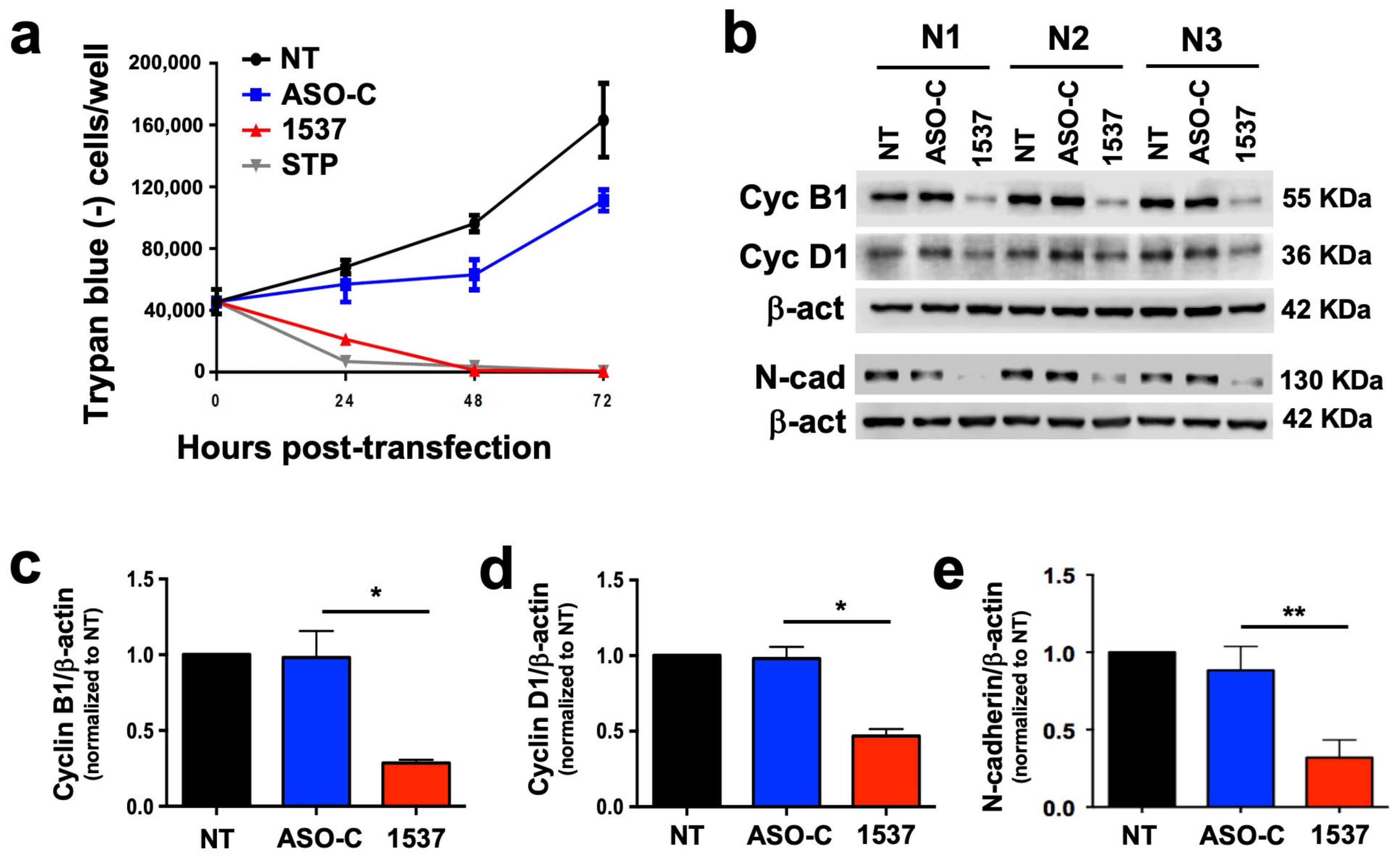 Cancers 16 00830 g003