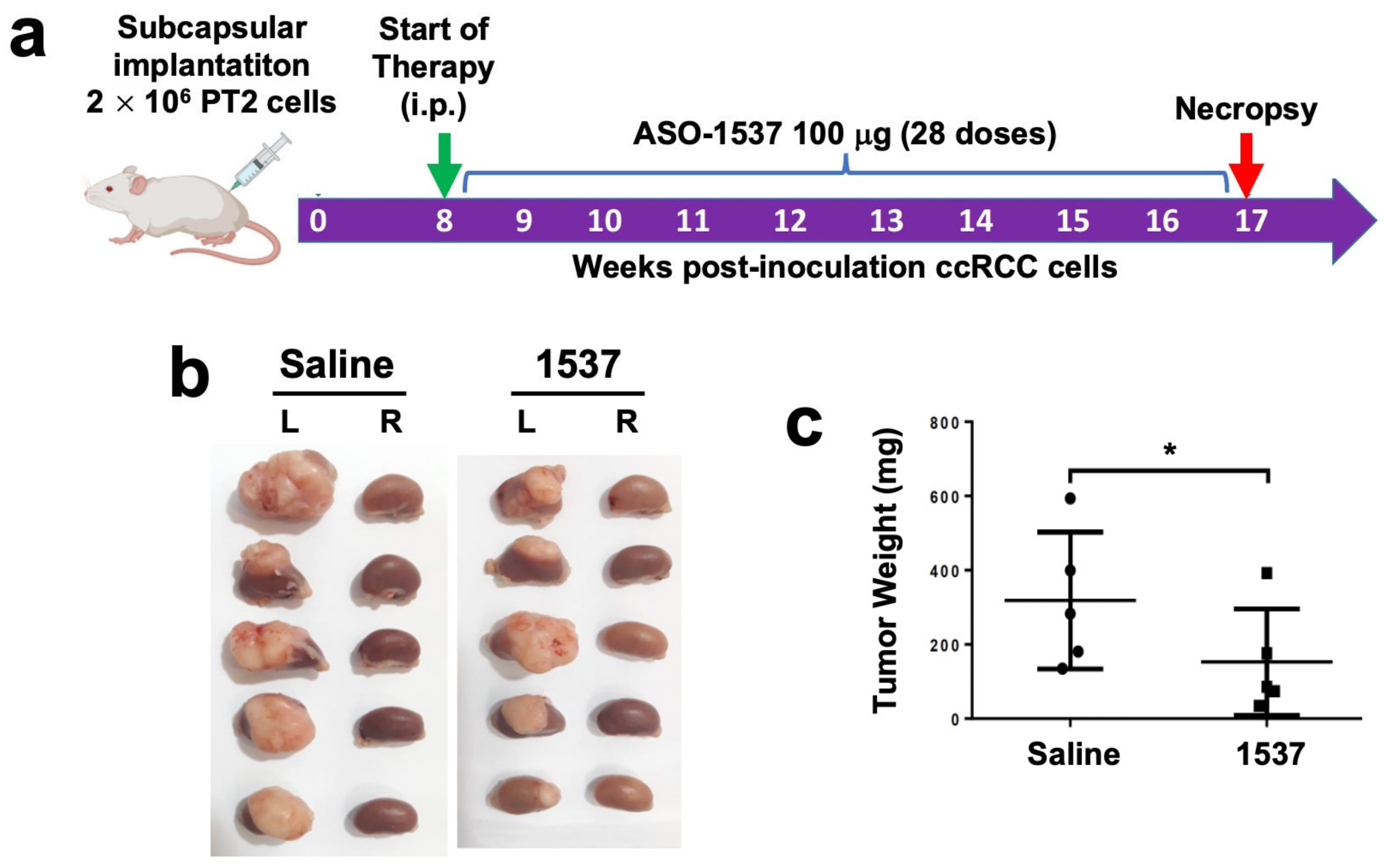 Cancers 16 00830 g004