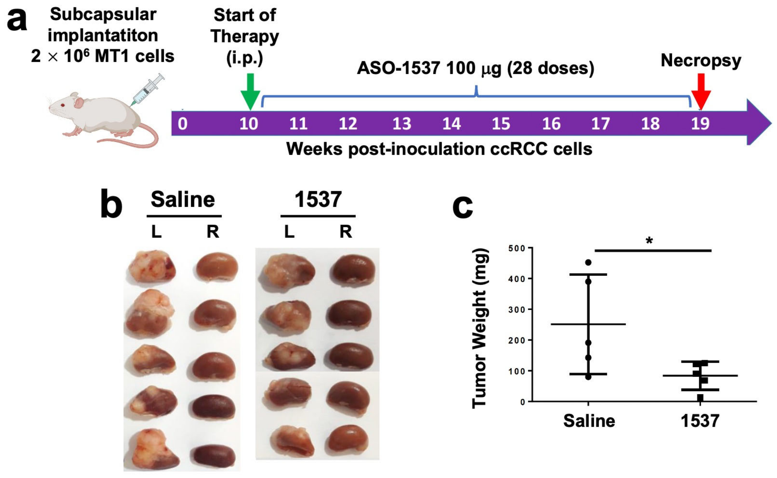 Cancers 16 00830 g005