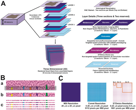 Cancers 16 00846 g001