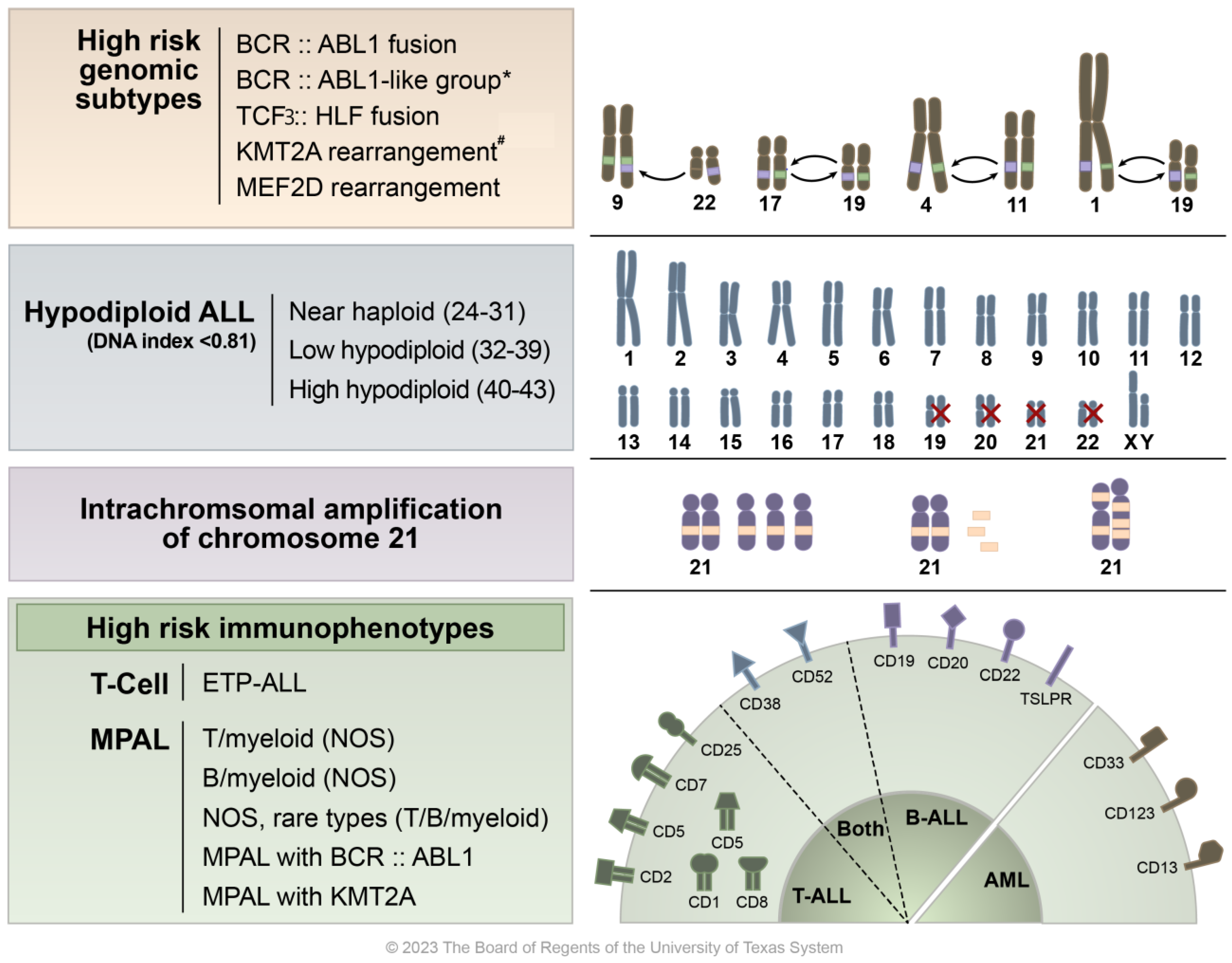 Cancers 16 00858 g001