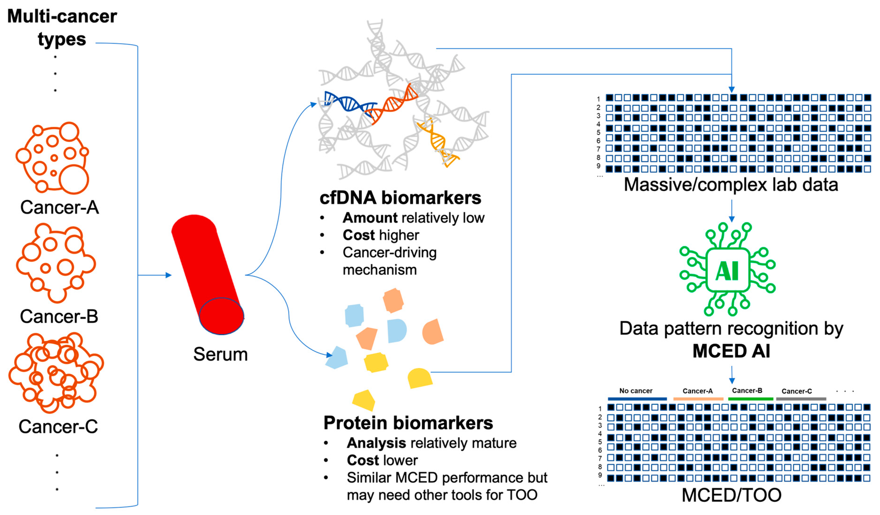 Cancers 16 00862 g001