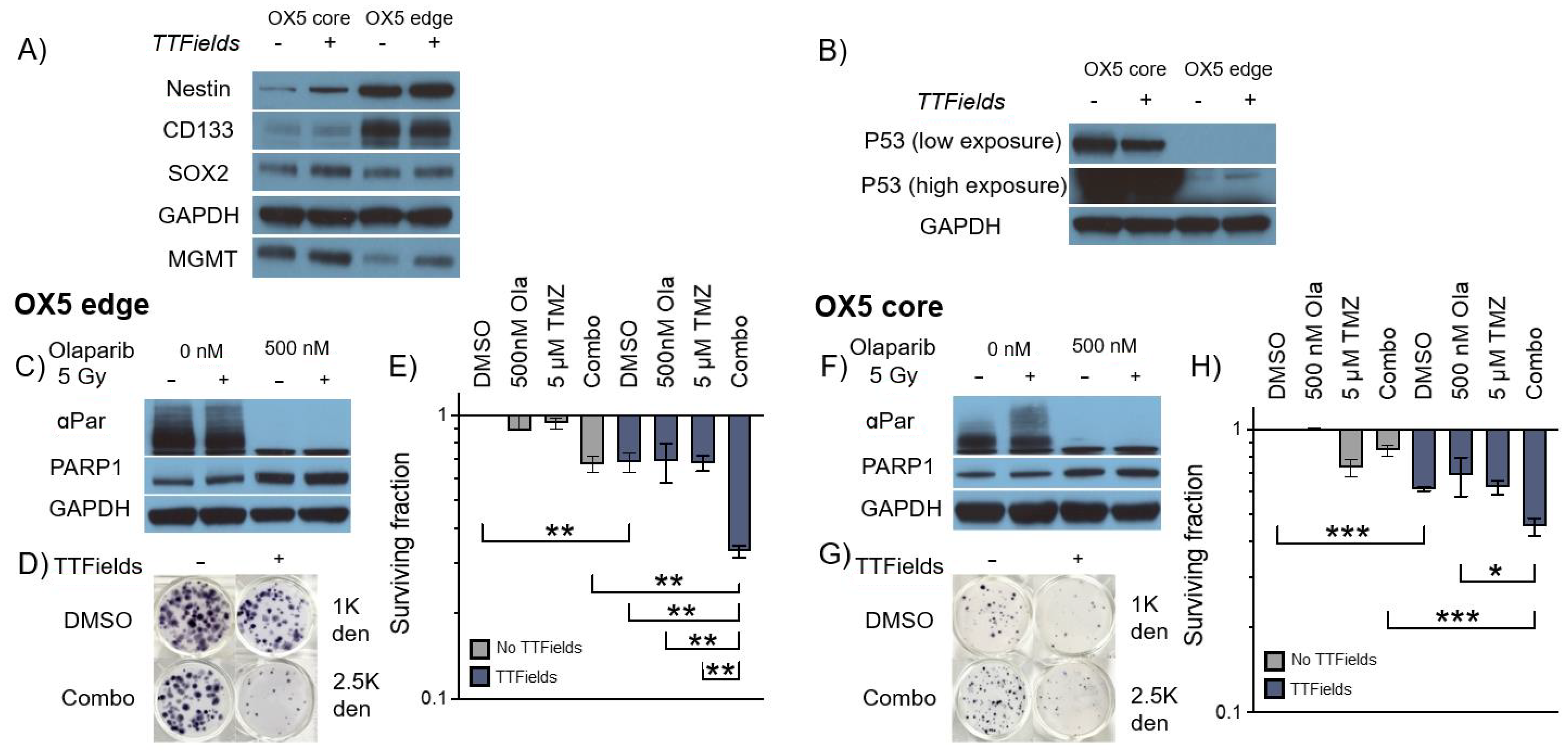 Cancers 16 00863 g005