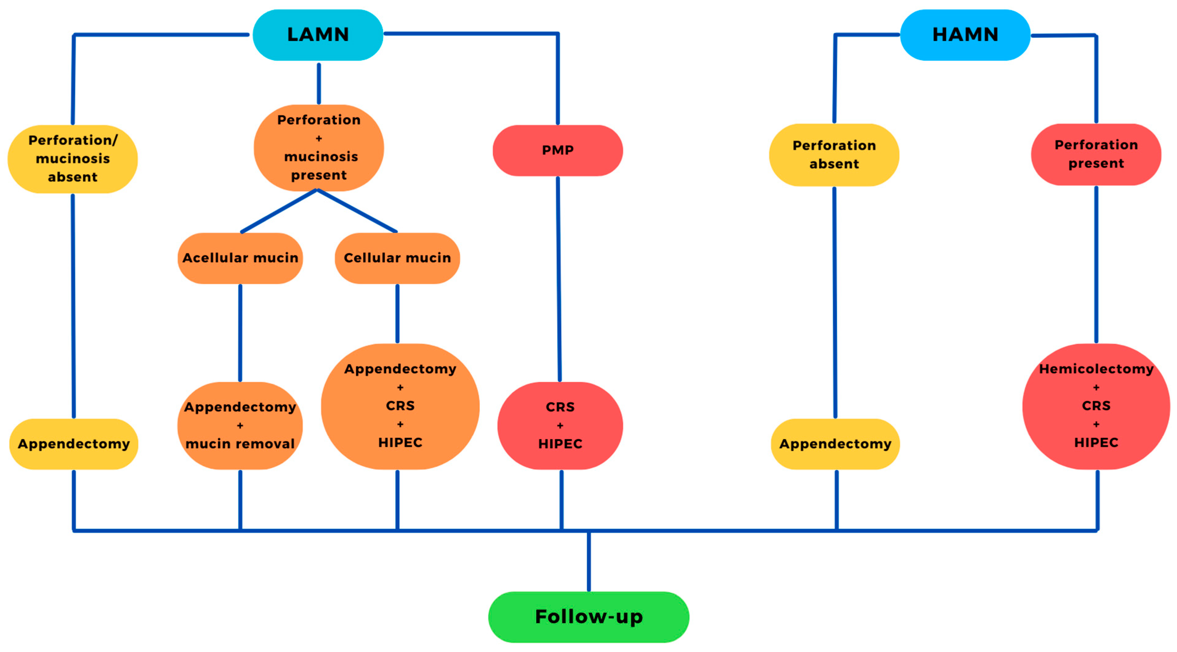 Cancers 16 00866 g001