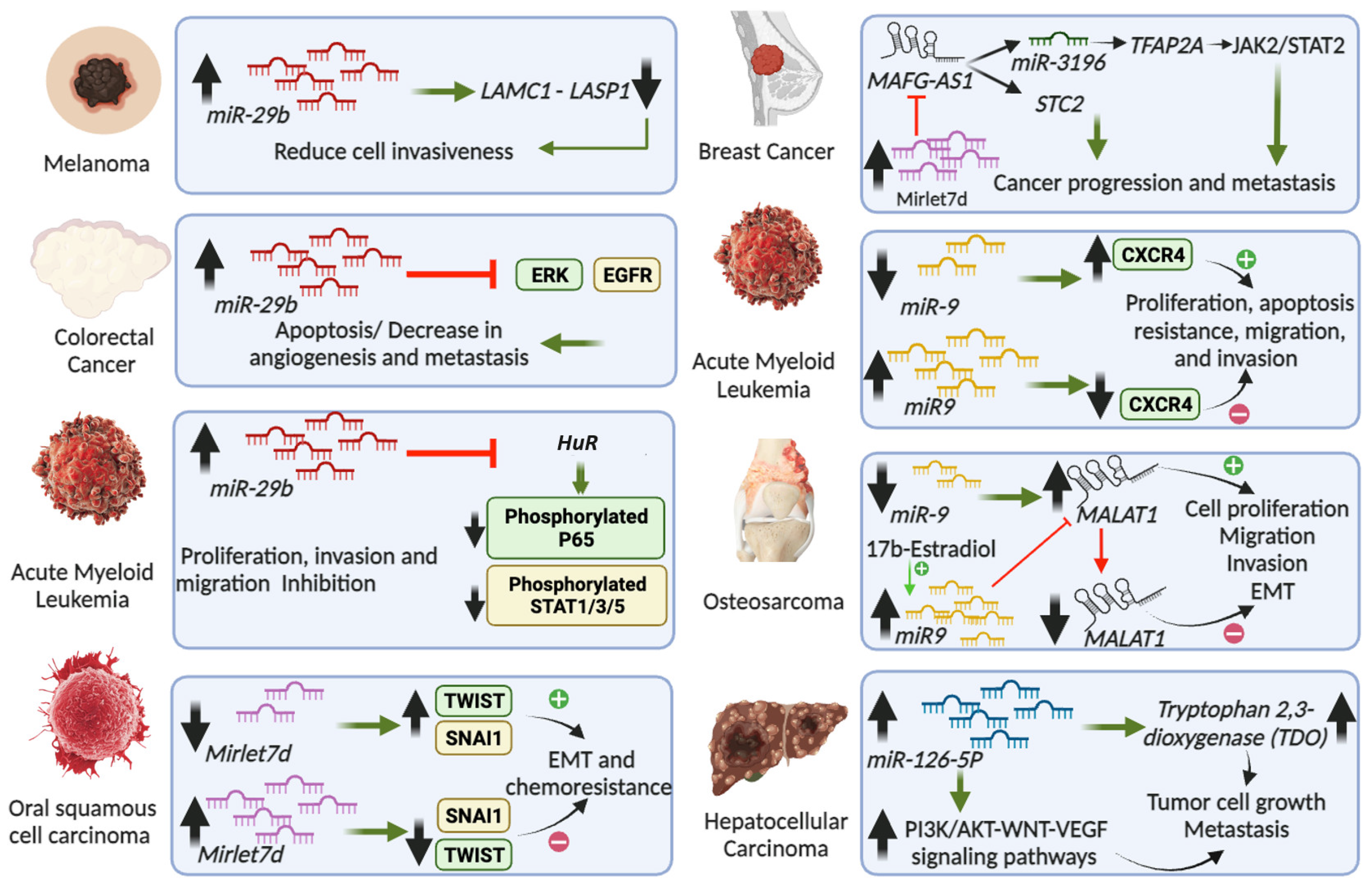 Cancers 16 00868 g002 Cancers 16 00868 g002