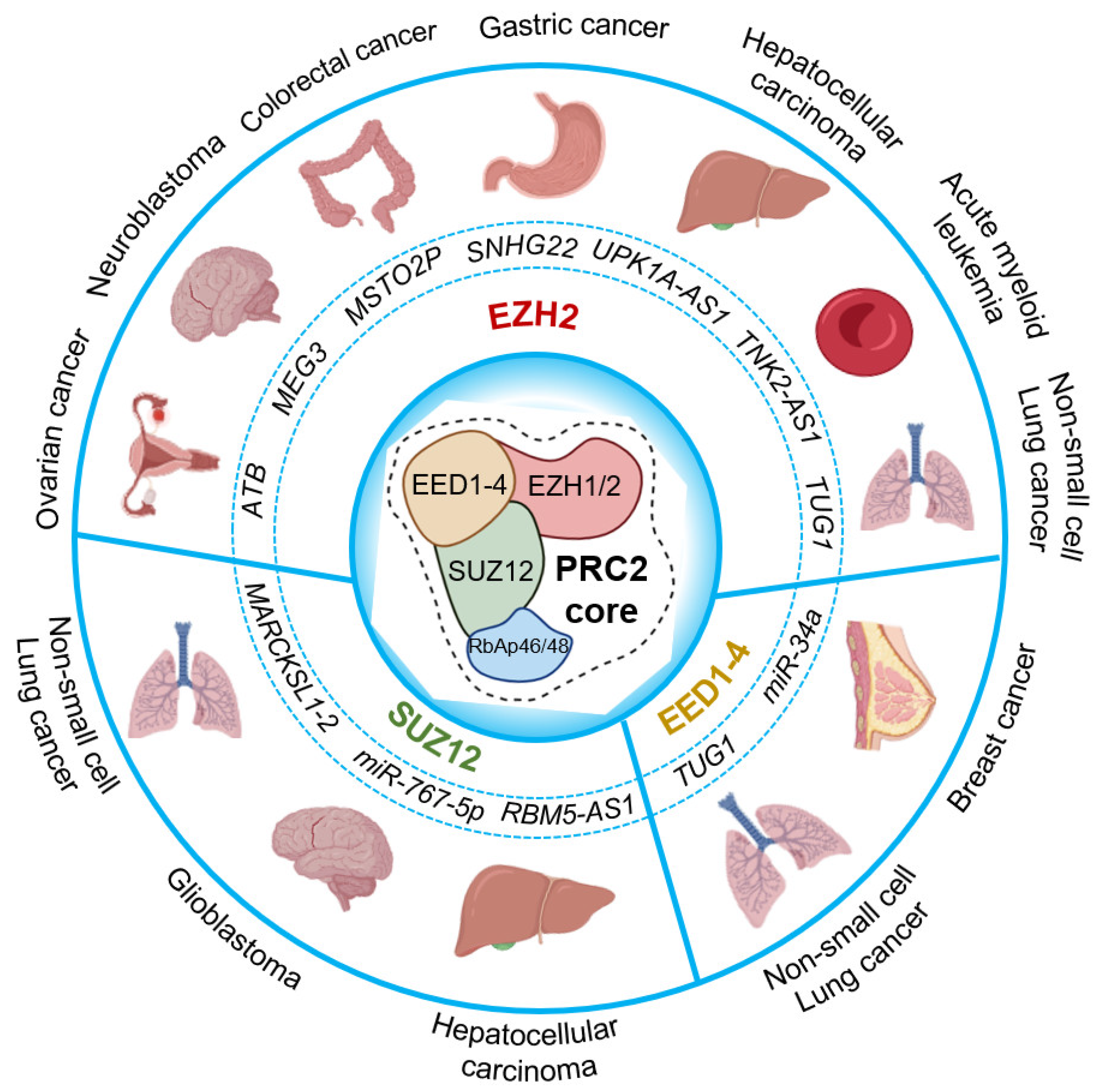 Cancers 16 00868 g003 Cancers 16 00868 g003
