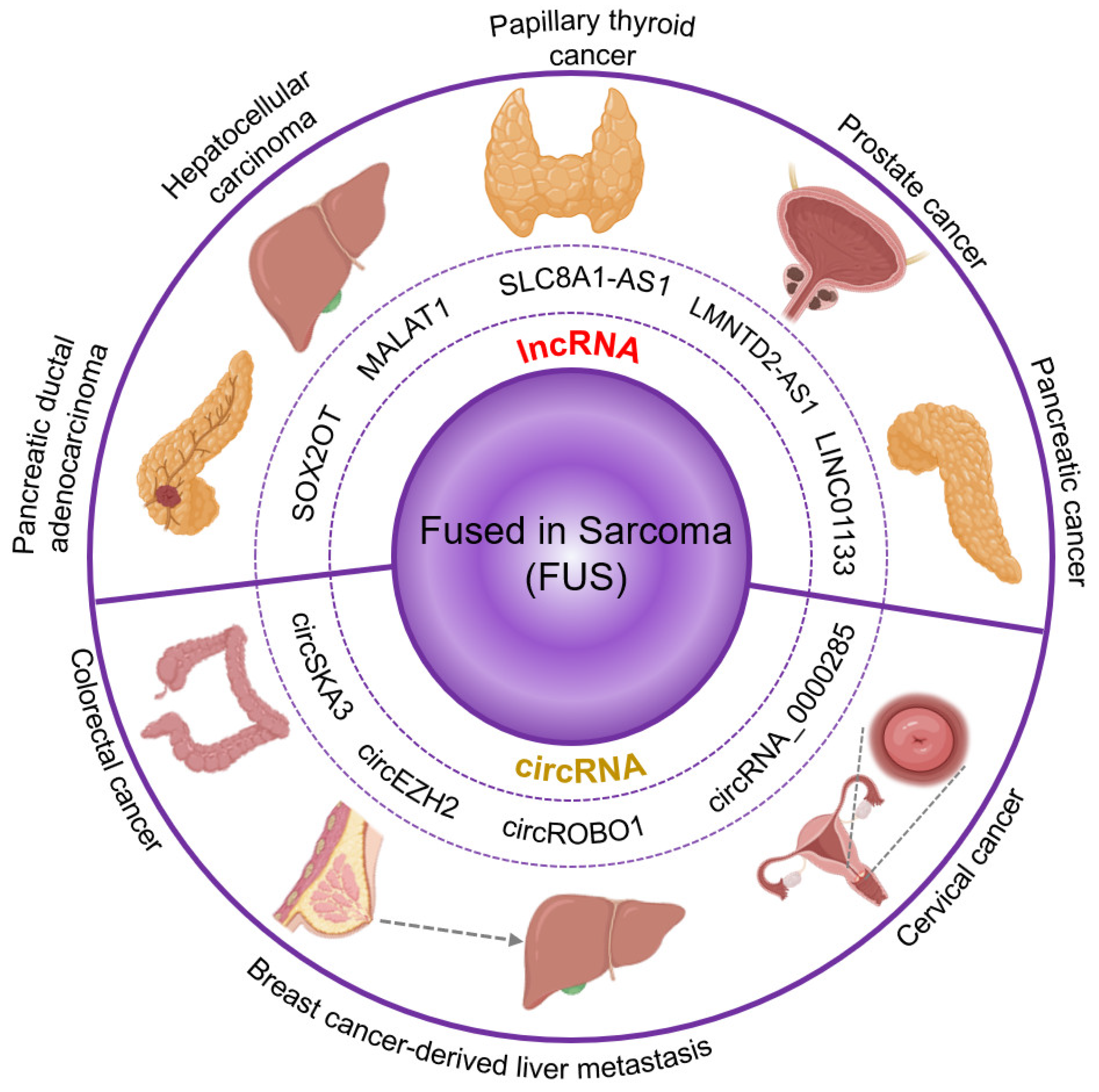 Cancers 16 00868 g004 Cancers 16 00868 g004