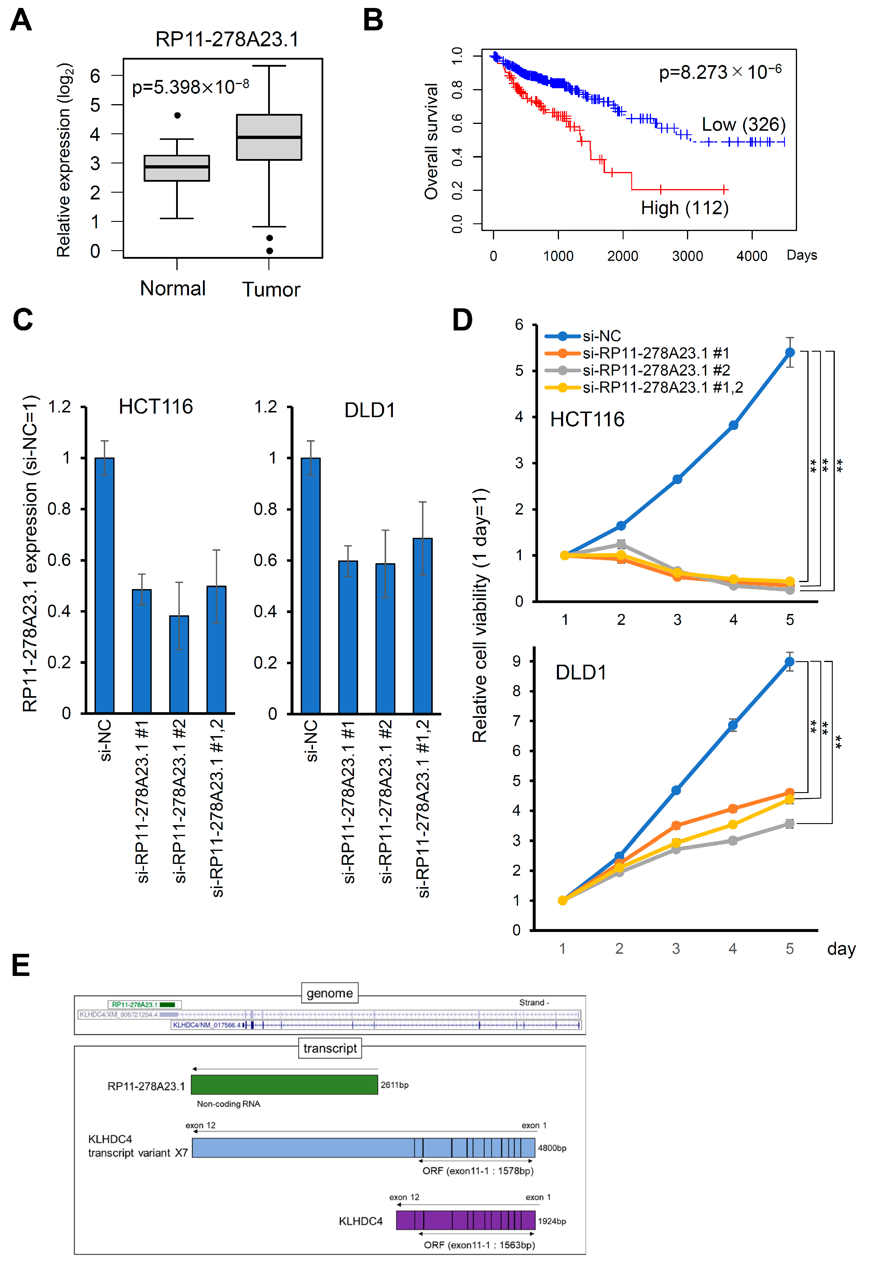 Cancers 16 00882 g001