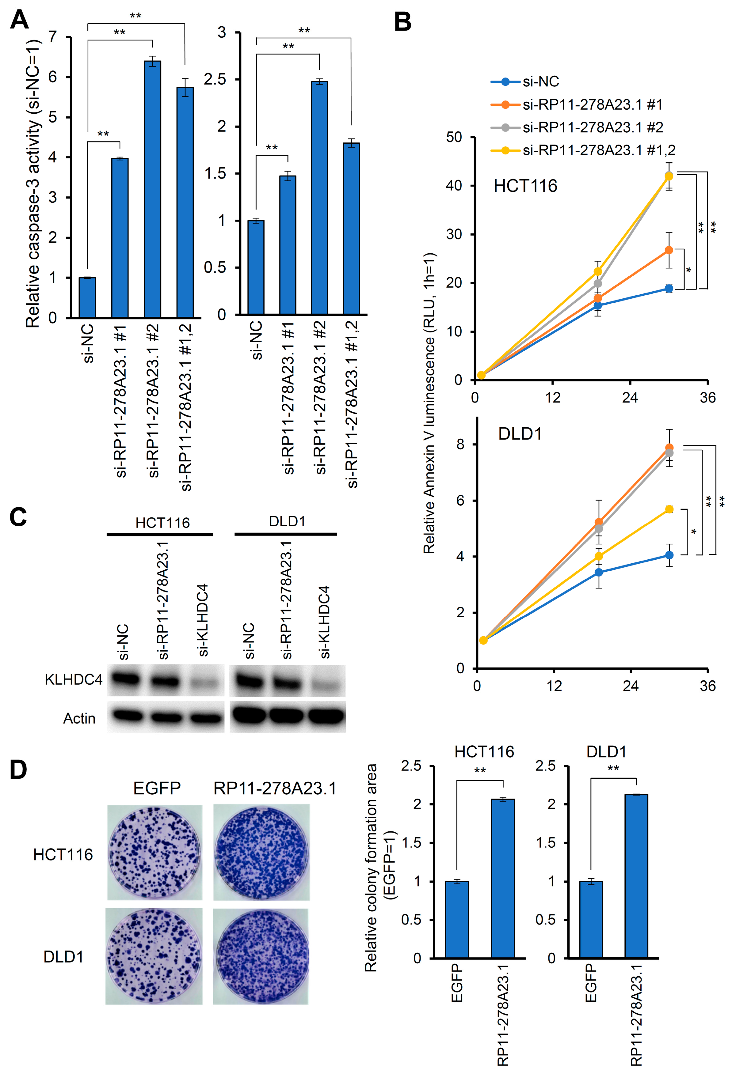 Cancers 16 00882 g002