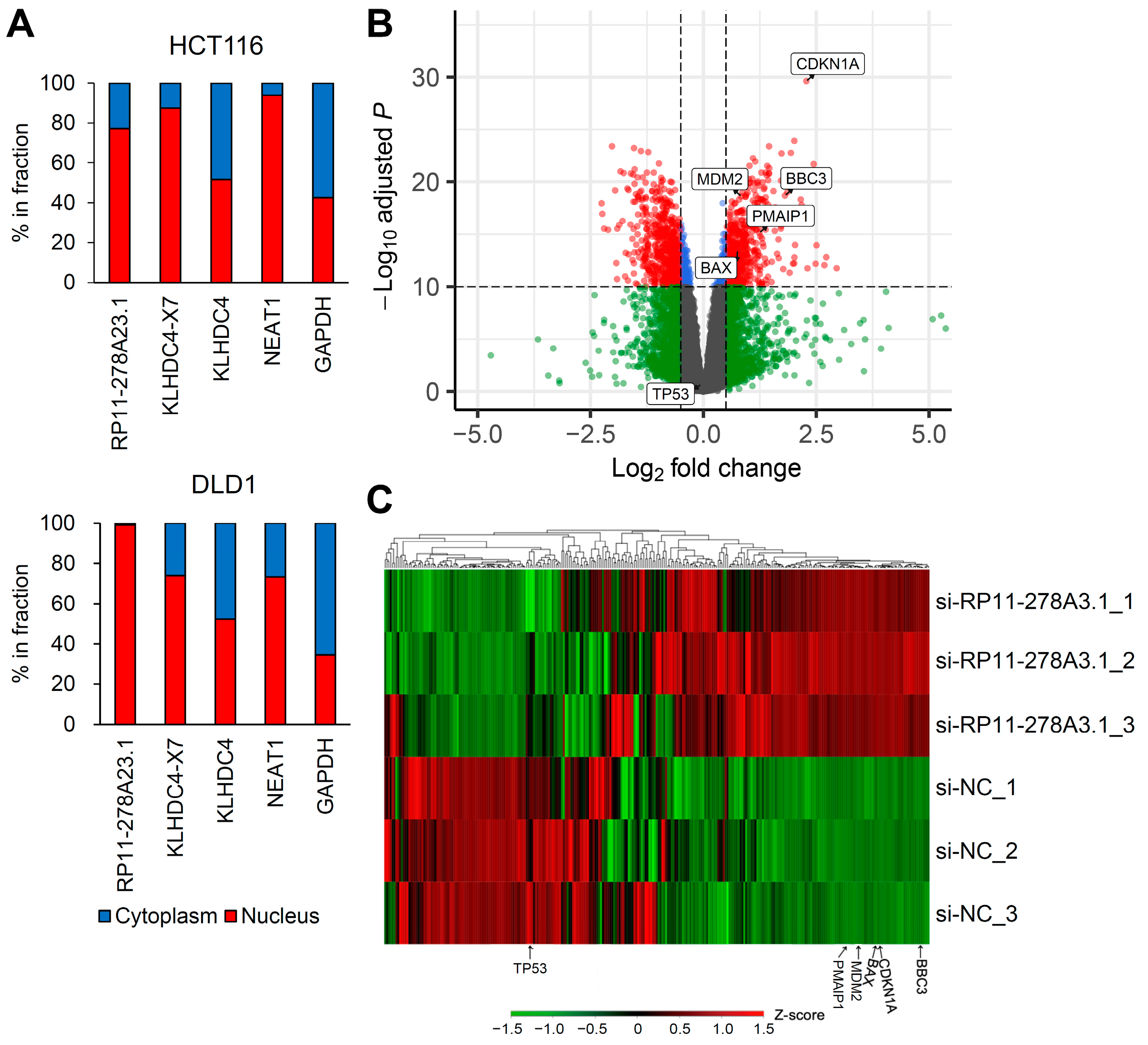 Cancers 16 00882 g003