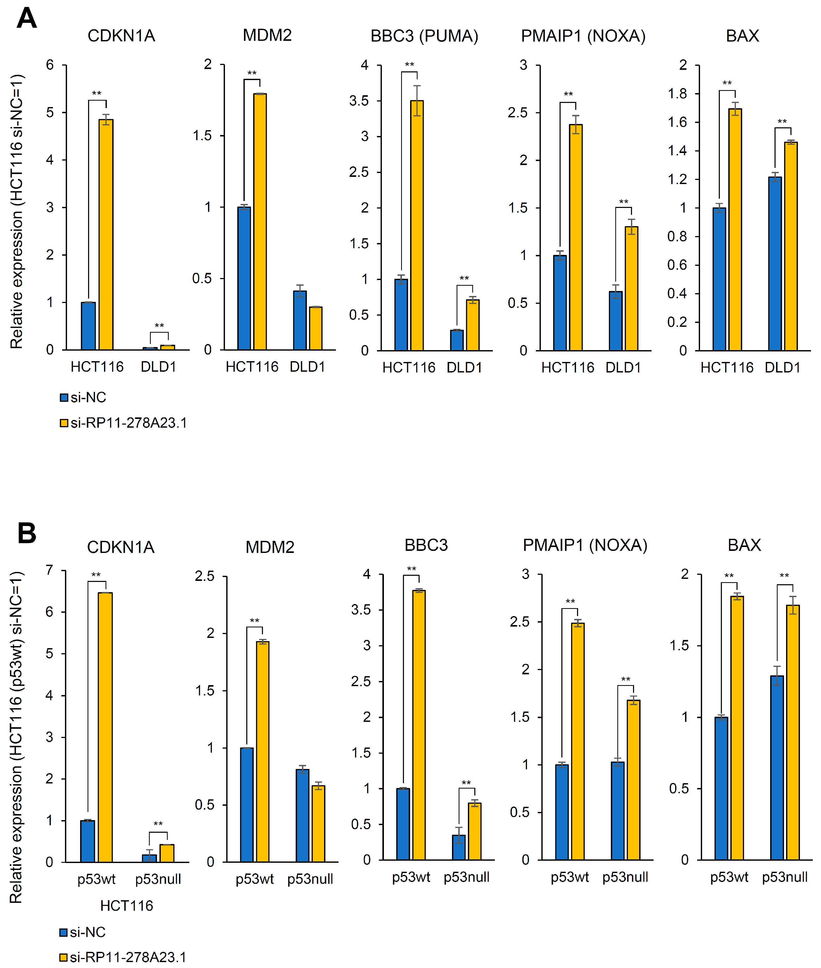 Cancers 16 00882 g004