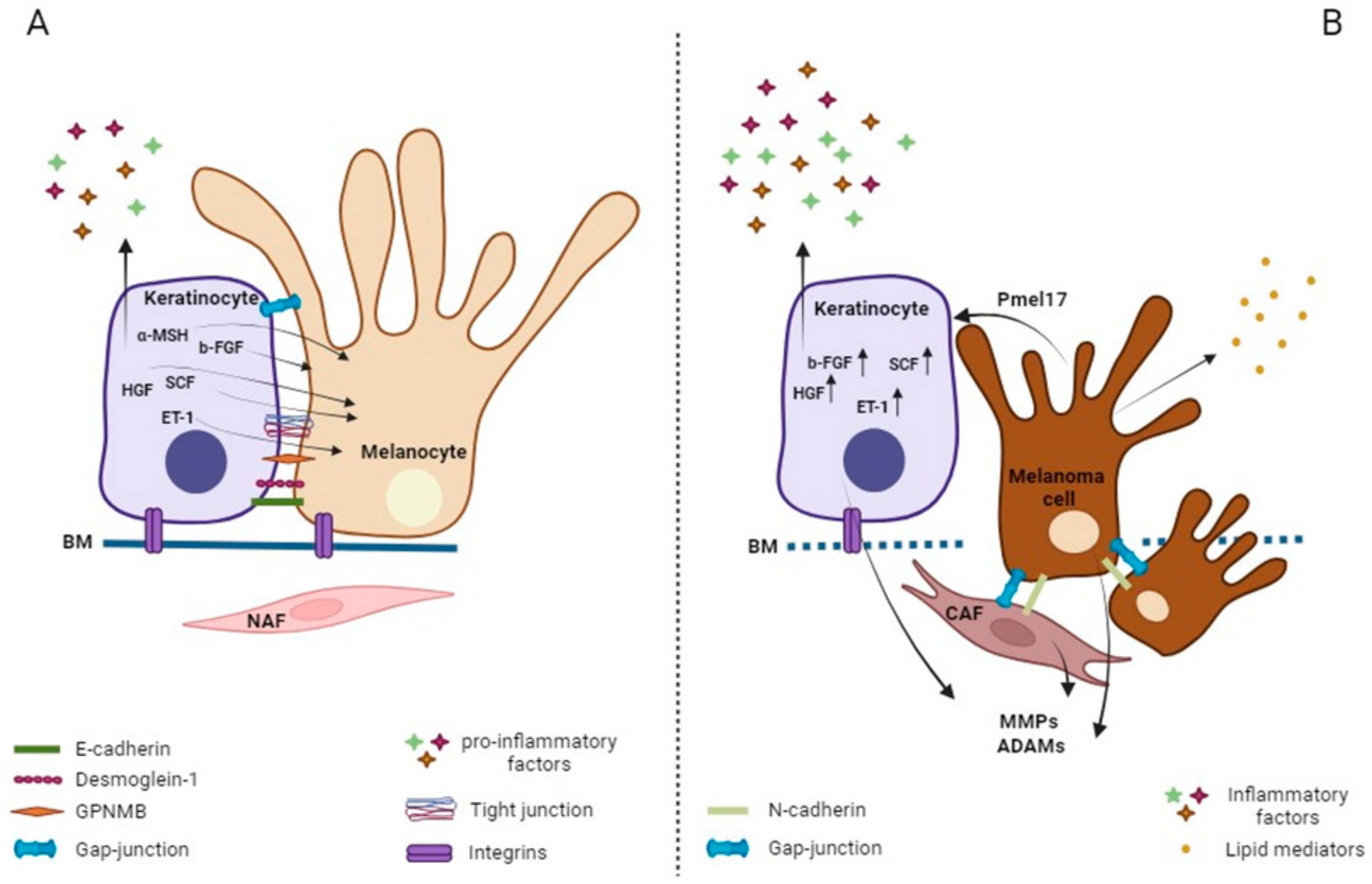 Cancers 16 00913 g003