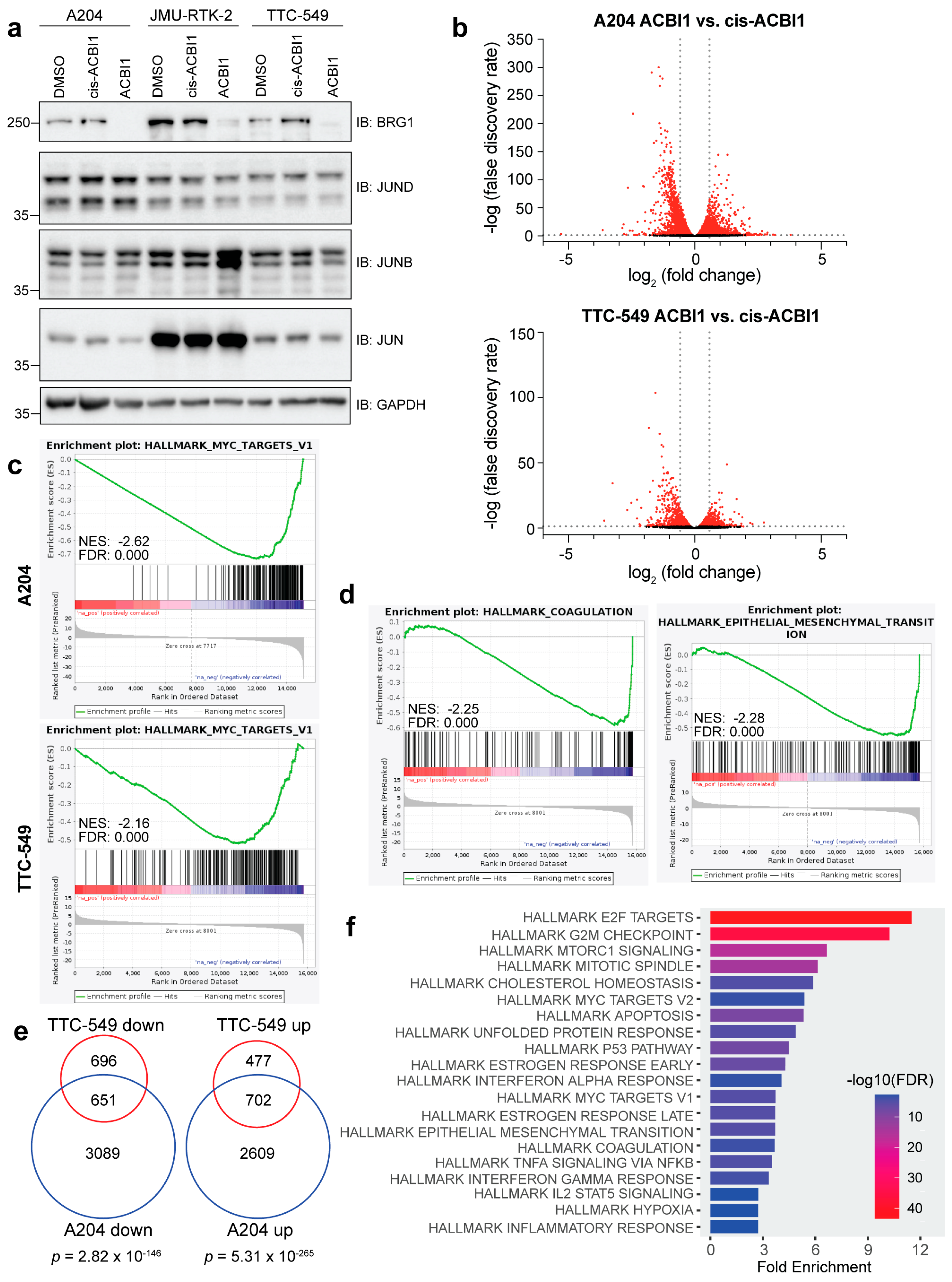 Cancers 16 00916 g001