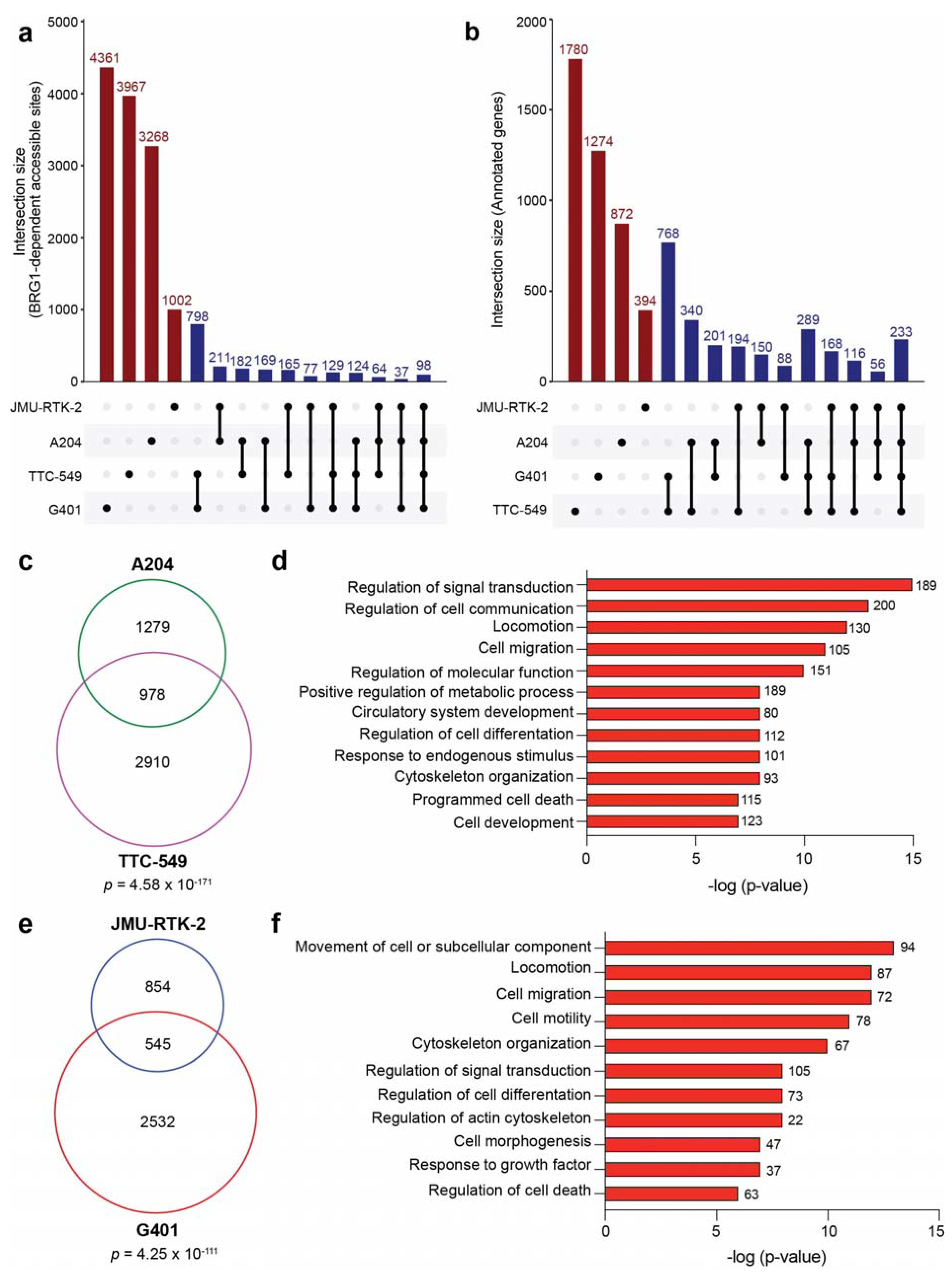 Cancers 16 00916 g004