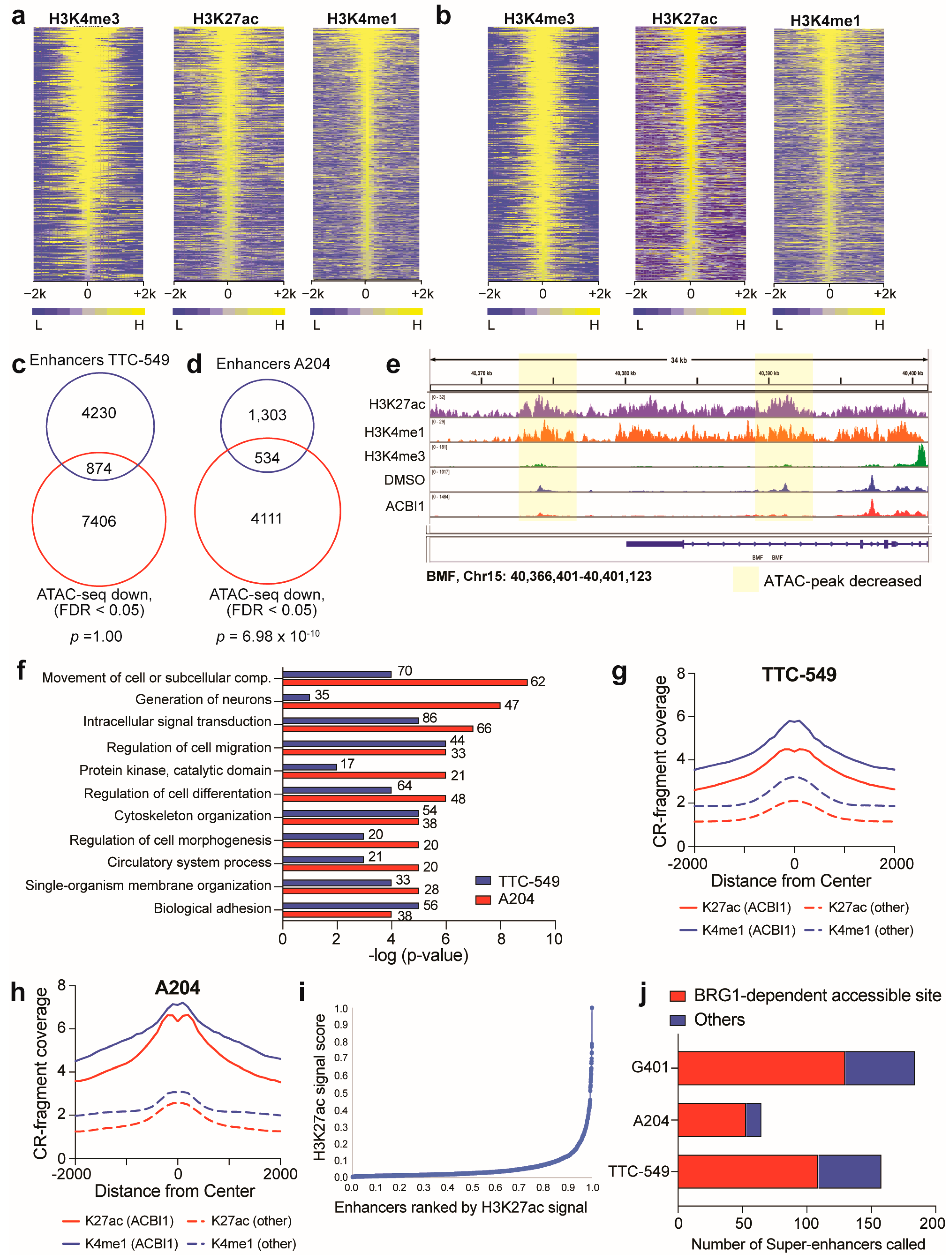 Cancers 16 00916 g005