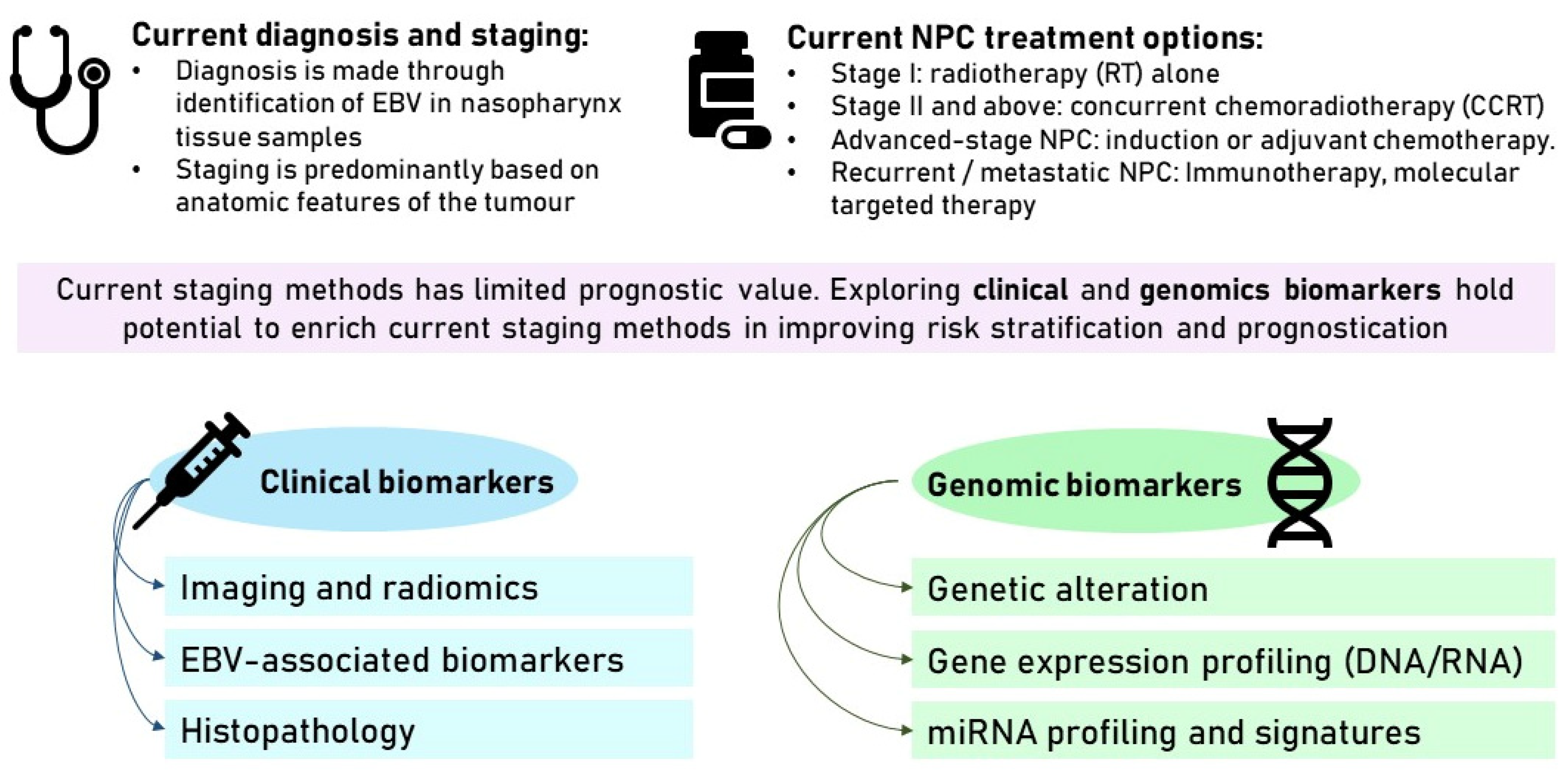 Cancers 16 00918 g002 Cancers 16 00918 g002