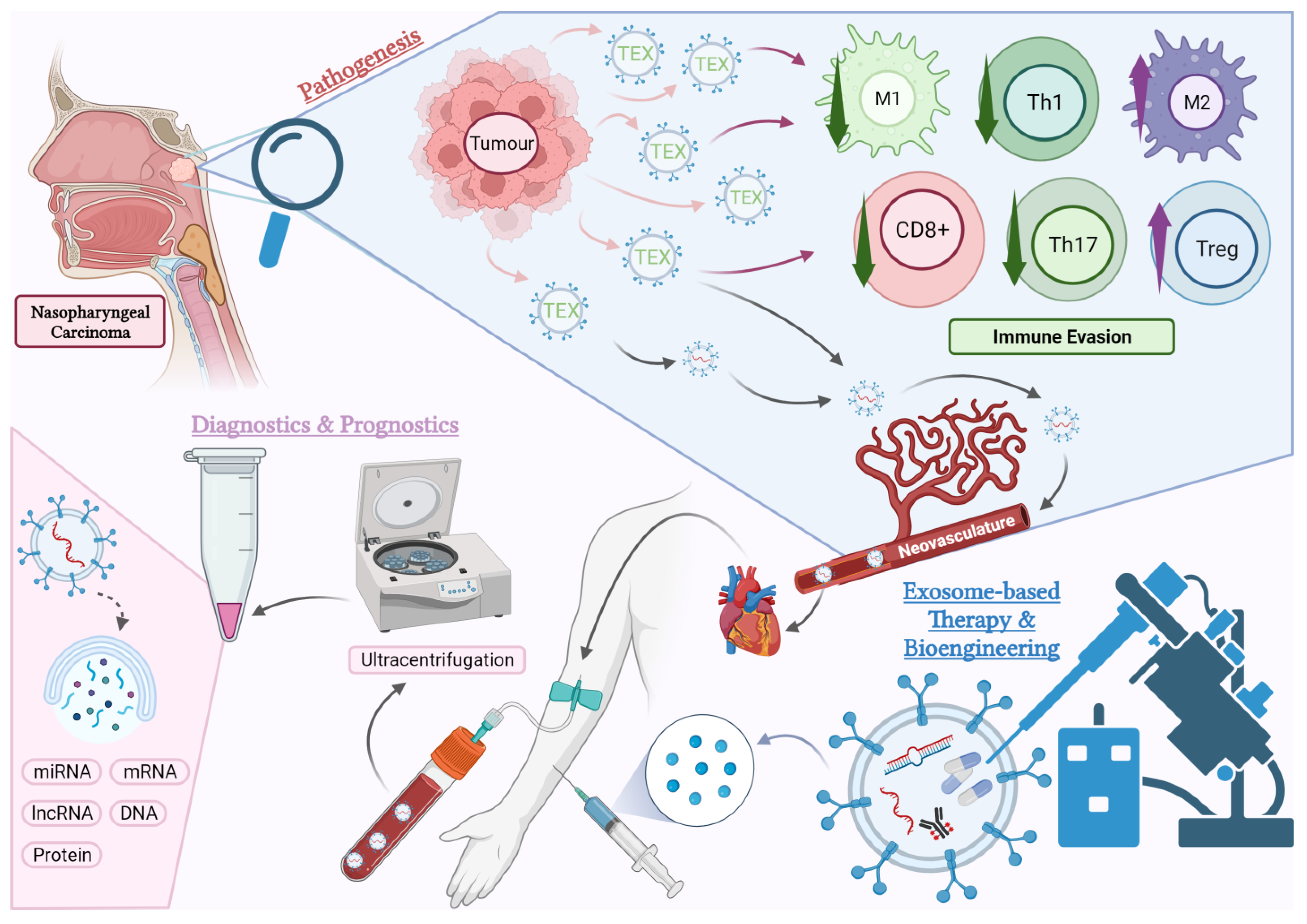 Cancers 16 00919 g001