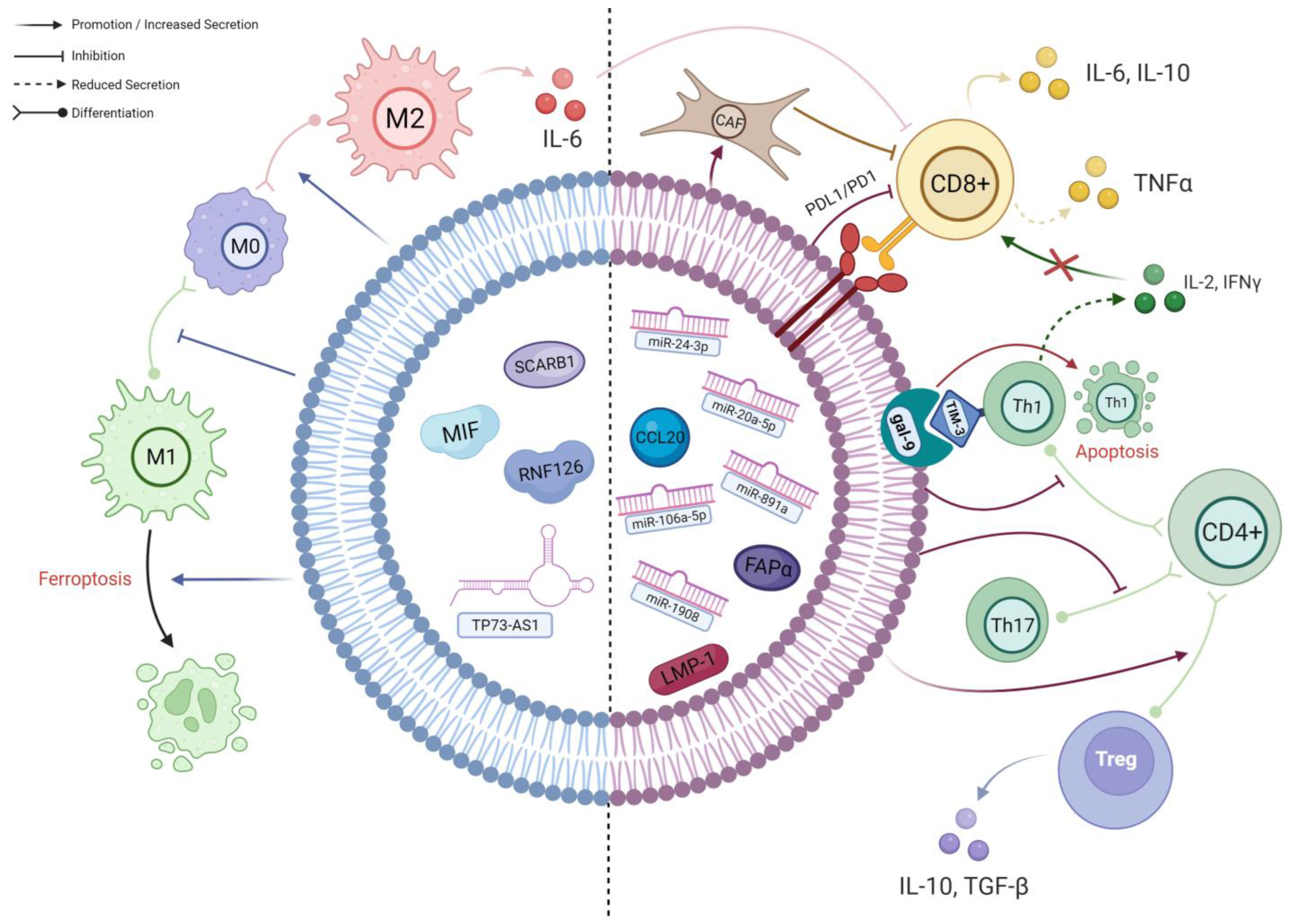 Cancers 16 00919 g002
