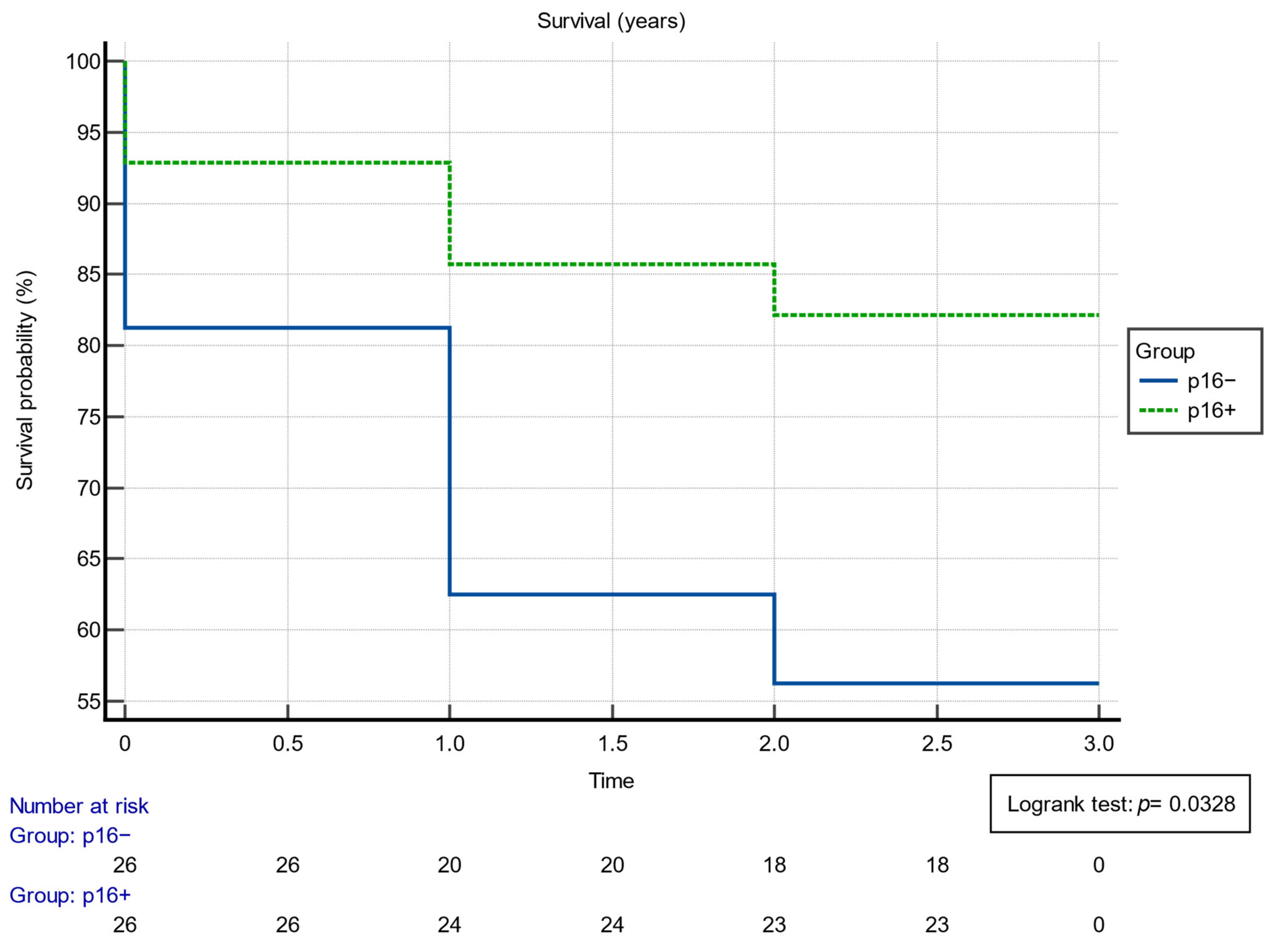 Cancers 16 00945 g001 Cancers 16 00945 g001