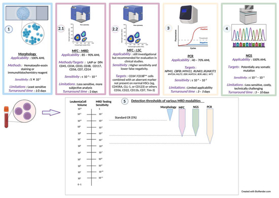 Cancers 16 00954 g001