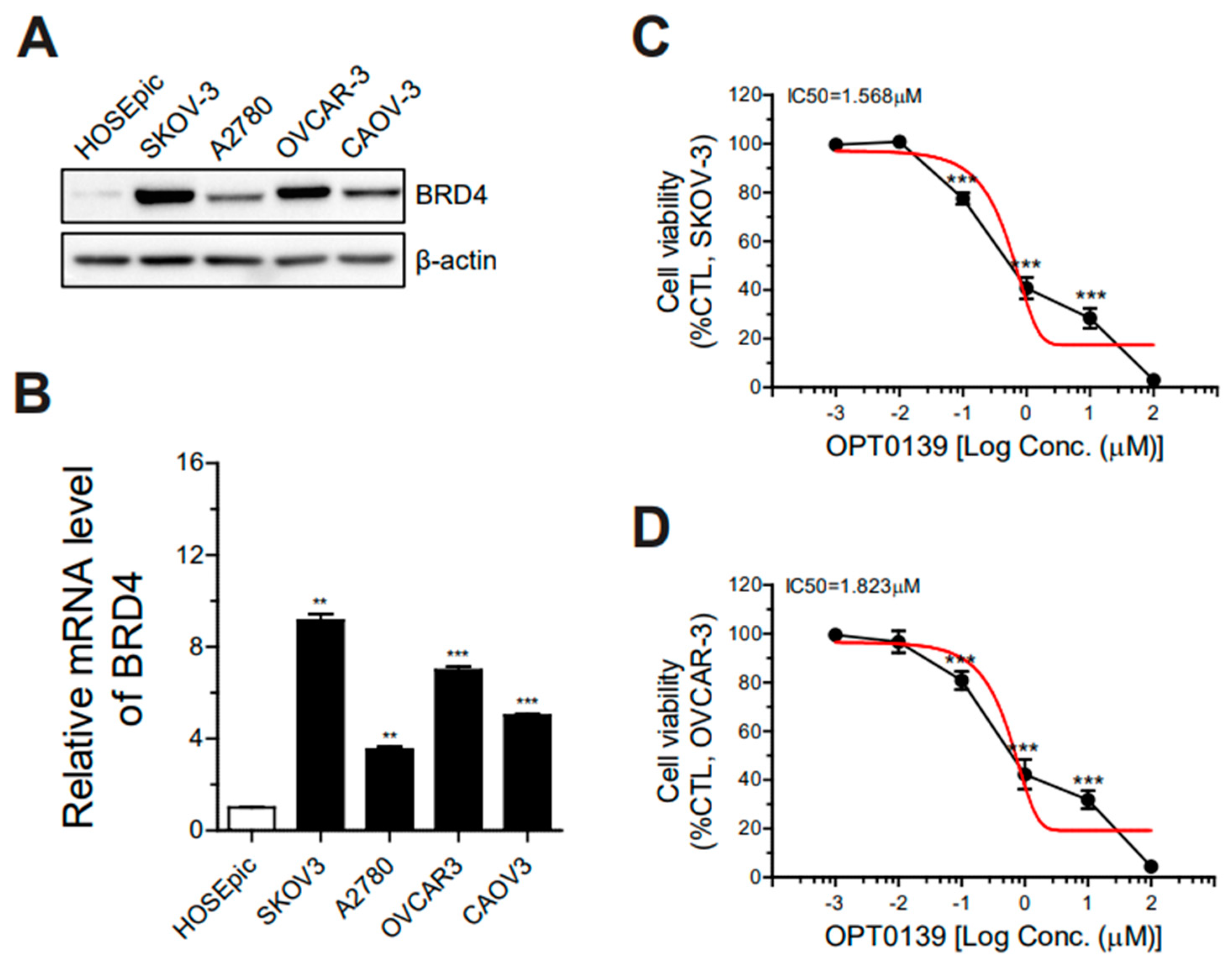 Cancers 16 00959 g001