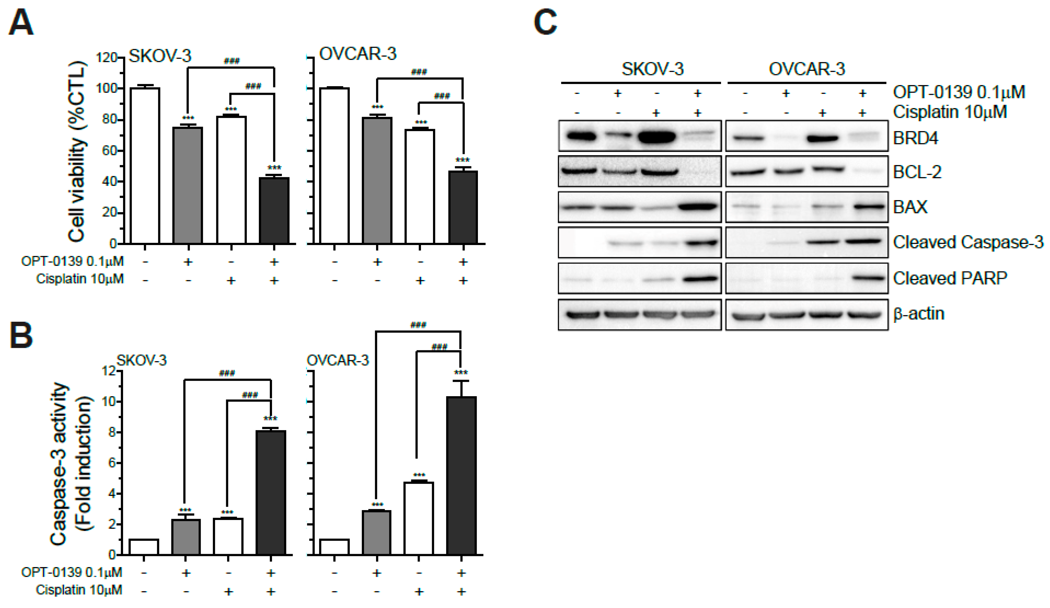 Cancers 16 00959 g007