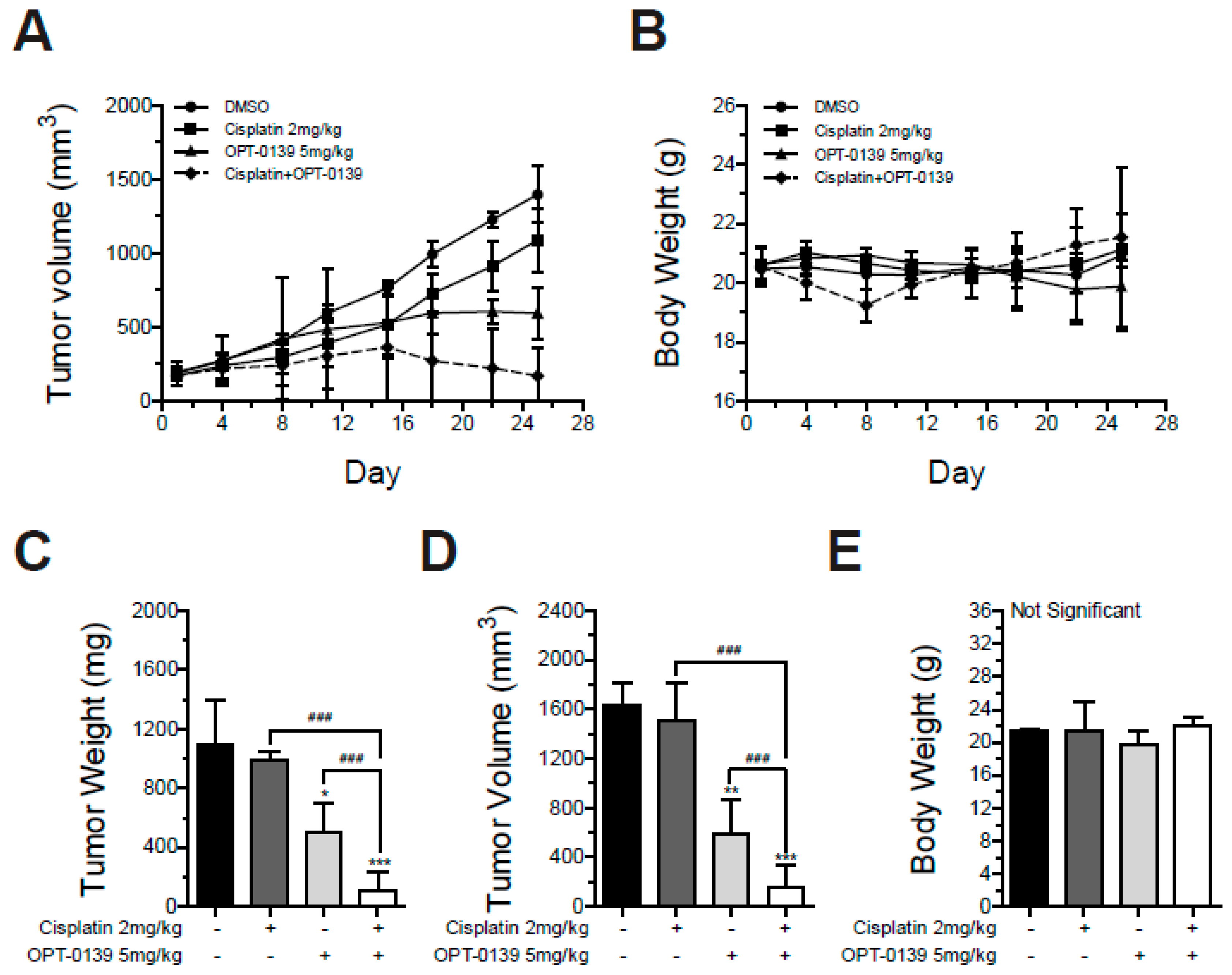 Cancers 16 00959 g008
