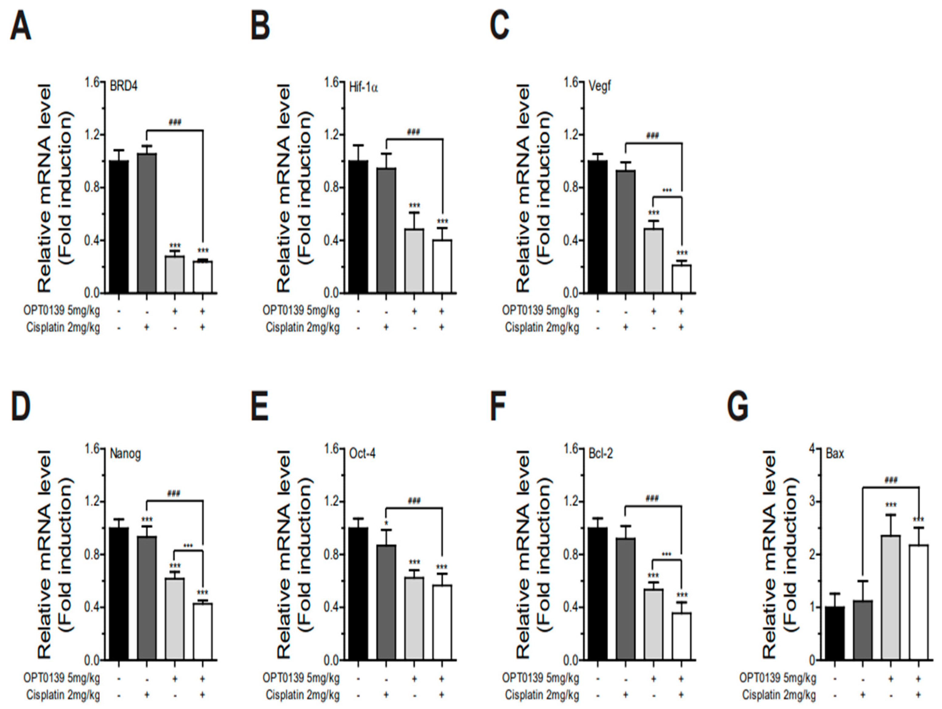 Cancers 16 00959 g009