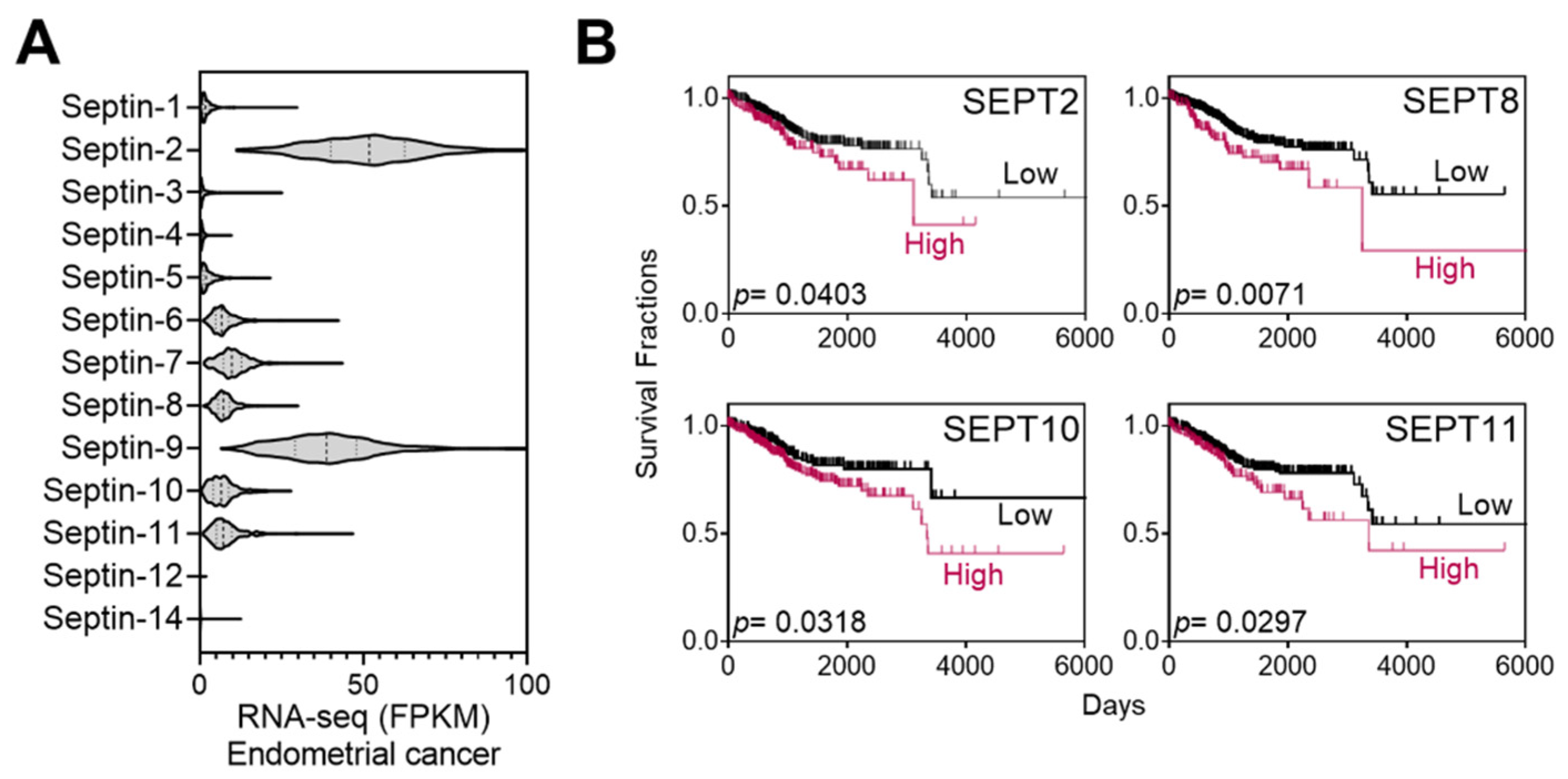 Cancers 16 00976 g001 Cancers 16 00976 g001