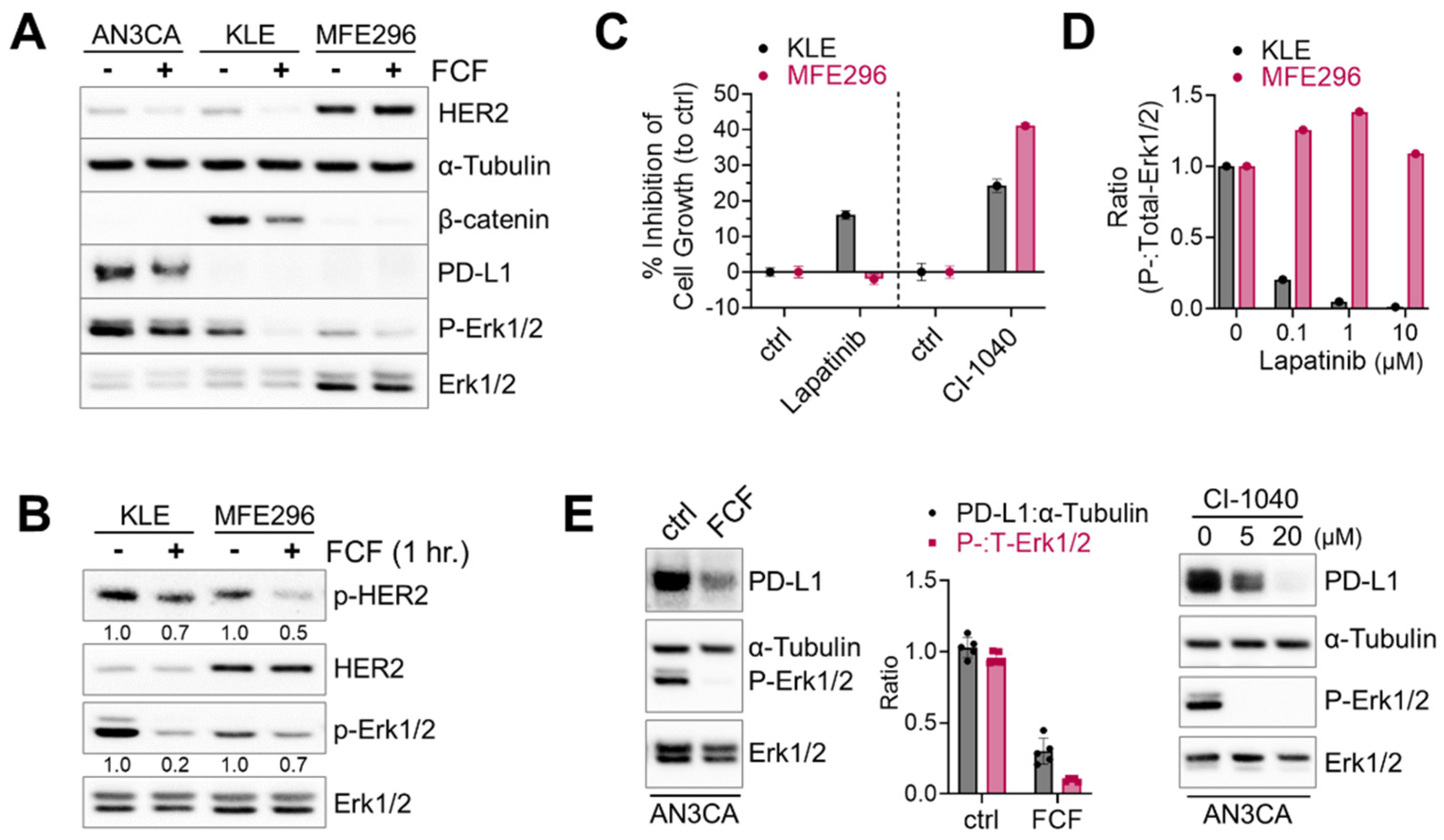 Cancers 16 00976 g003 Cancers 16 00976 g003