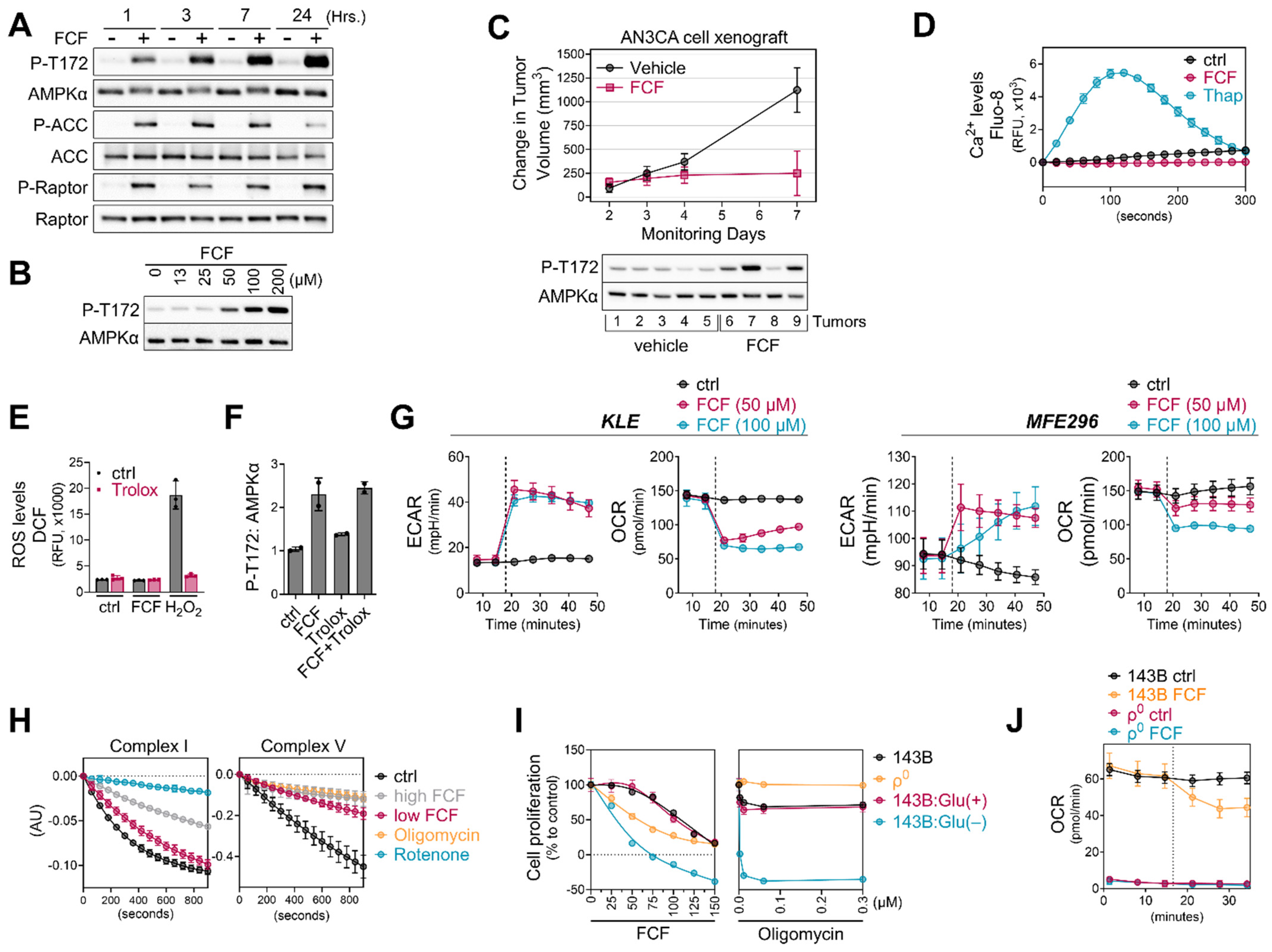 Cancers 16 00976 g005 Cancers 16 00976 g005