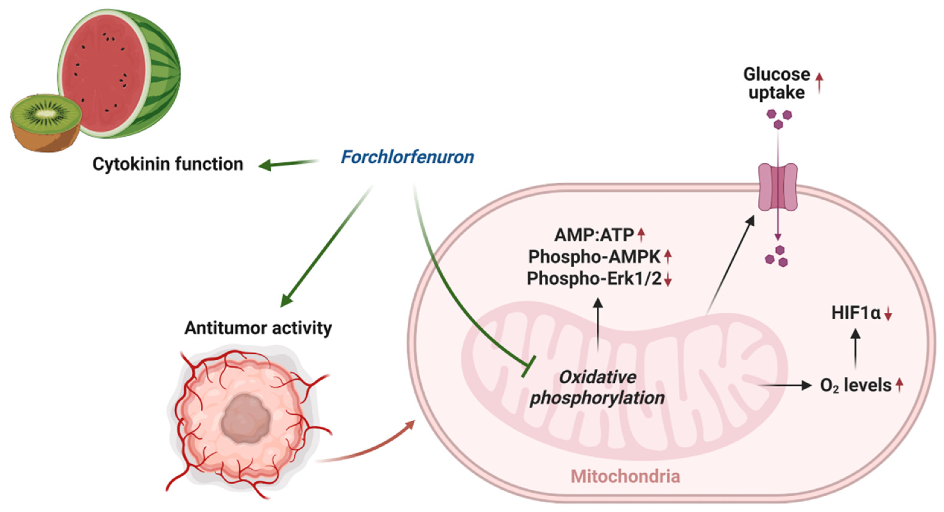 Cancers 16 00976 g008 Cancers 16 00976 g008