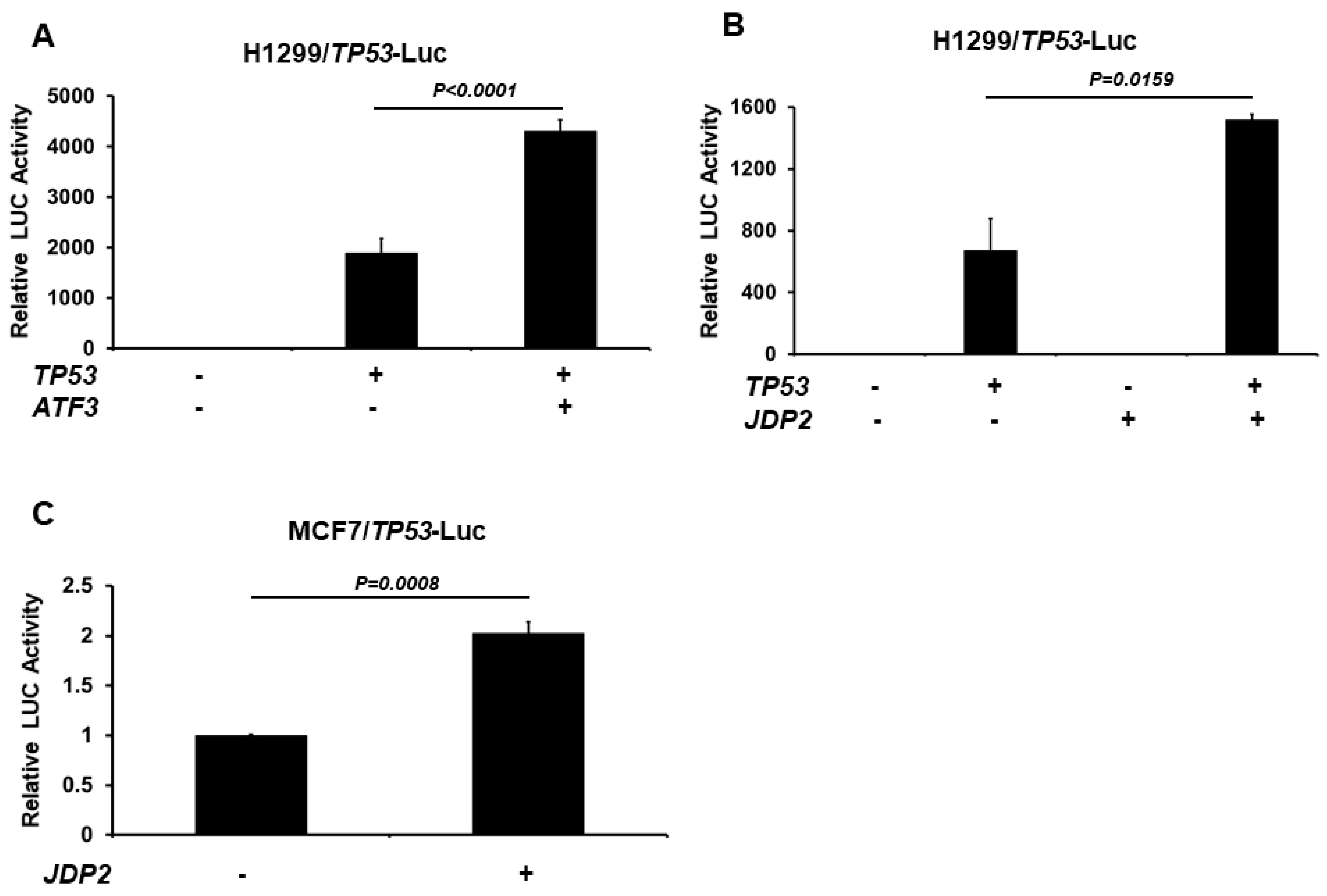 Cancers 16 01000 g001 Cancers 16 01000 g001