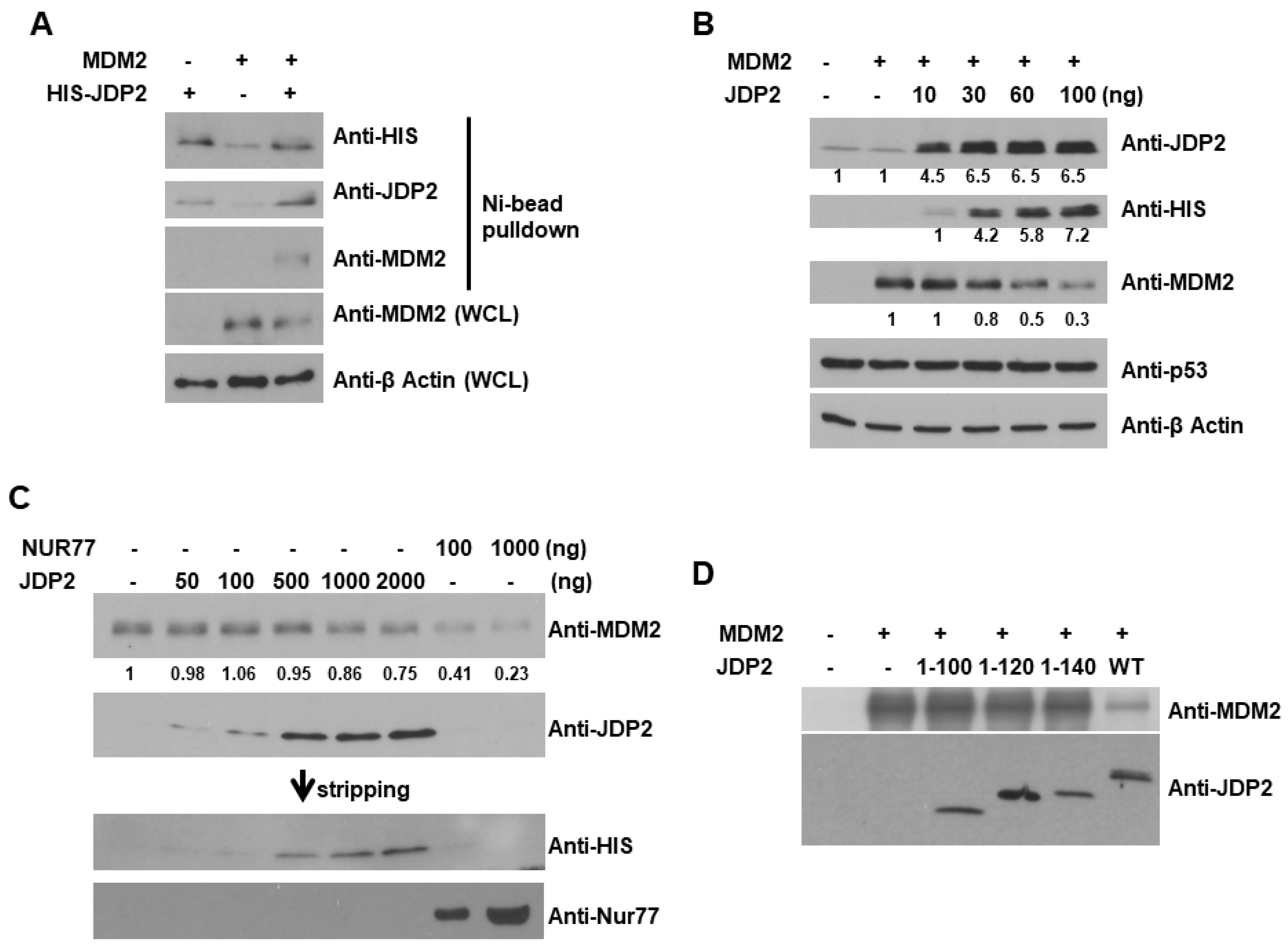 Cancers 16 01000 g005 Cancers 16 01000 g005